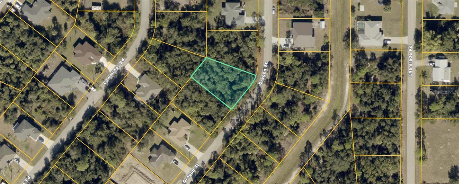 DRAGON ST Property Photo 1