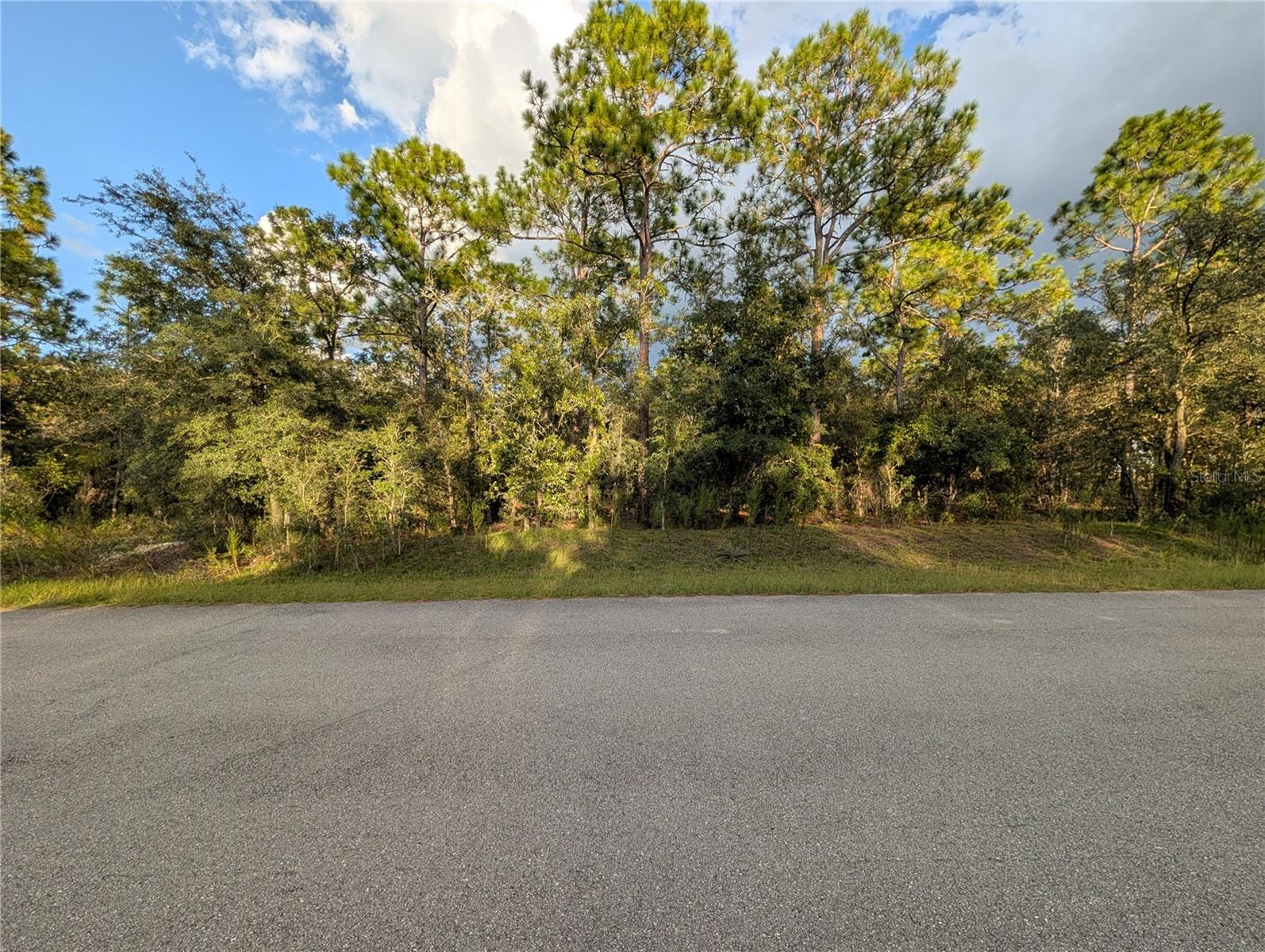 Nw Buena Vista Rd Property Photo 1