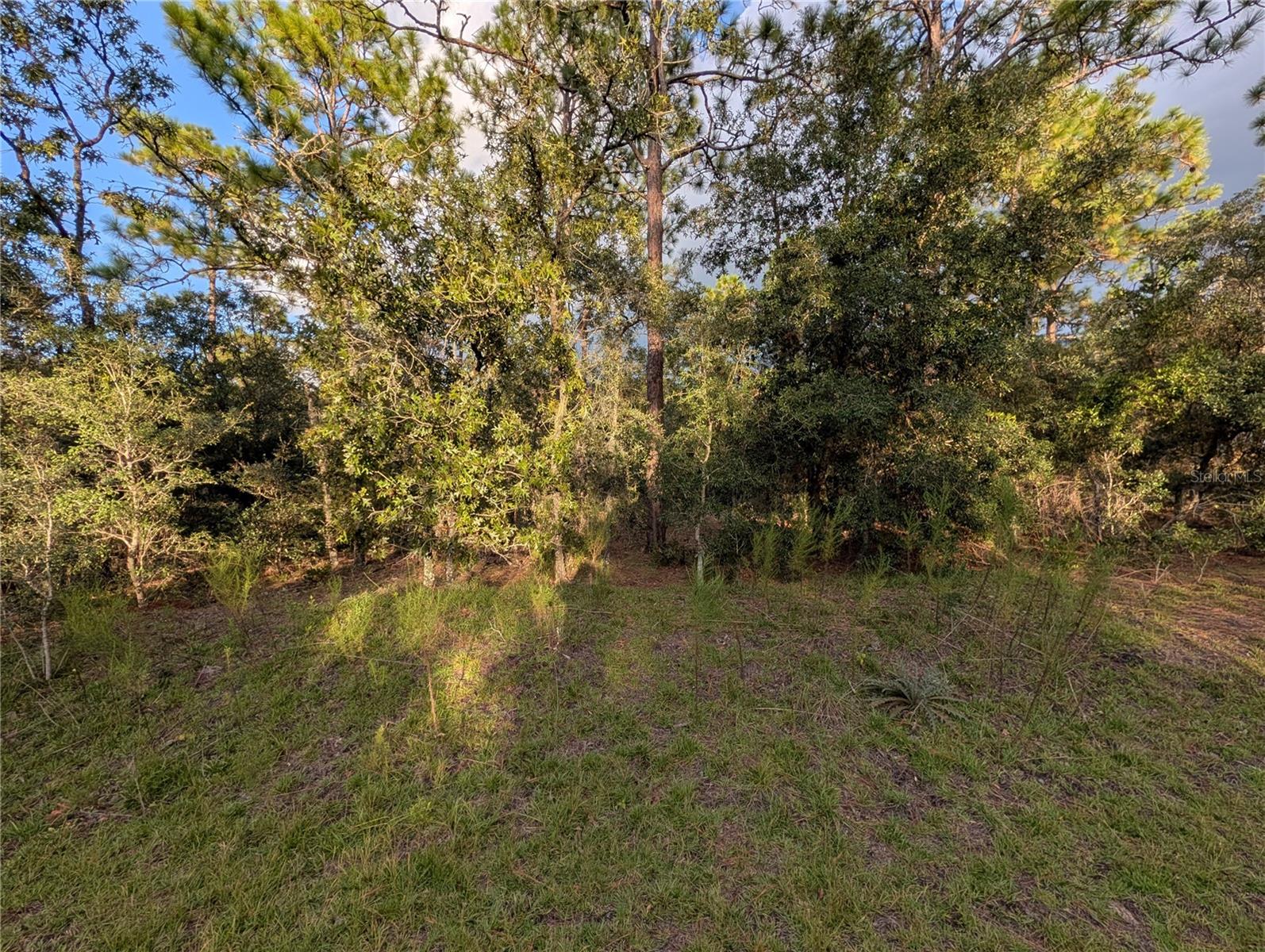 Nw Buena Vista Rd Property Photo 6