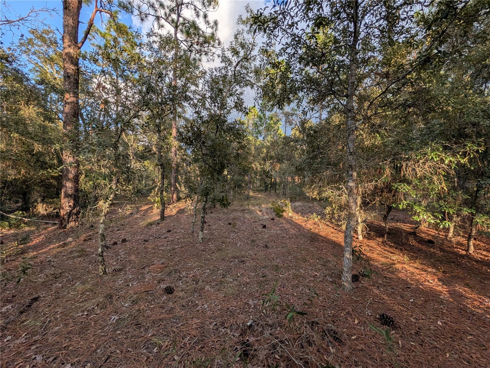 Nw Buena Vista Rd Property Photo 7