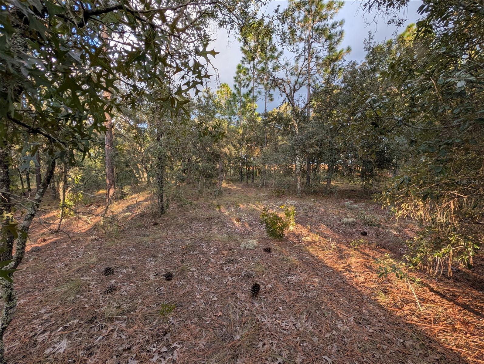 Nw Buena Vista Rd Property Photo 8