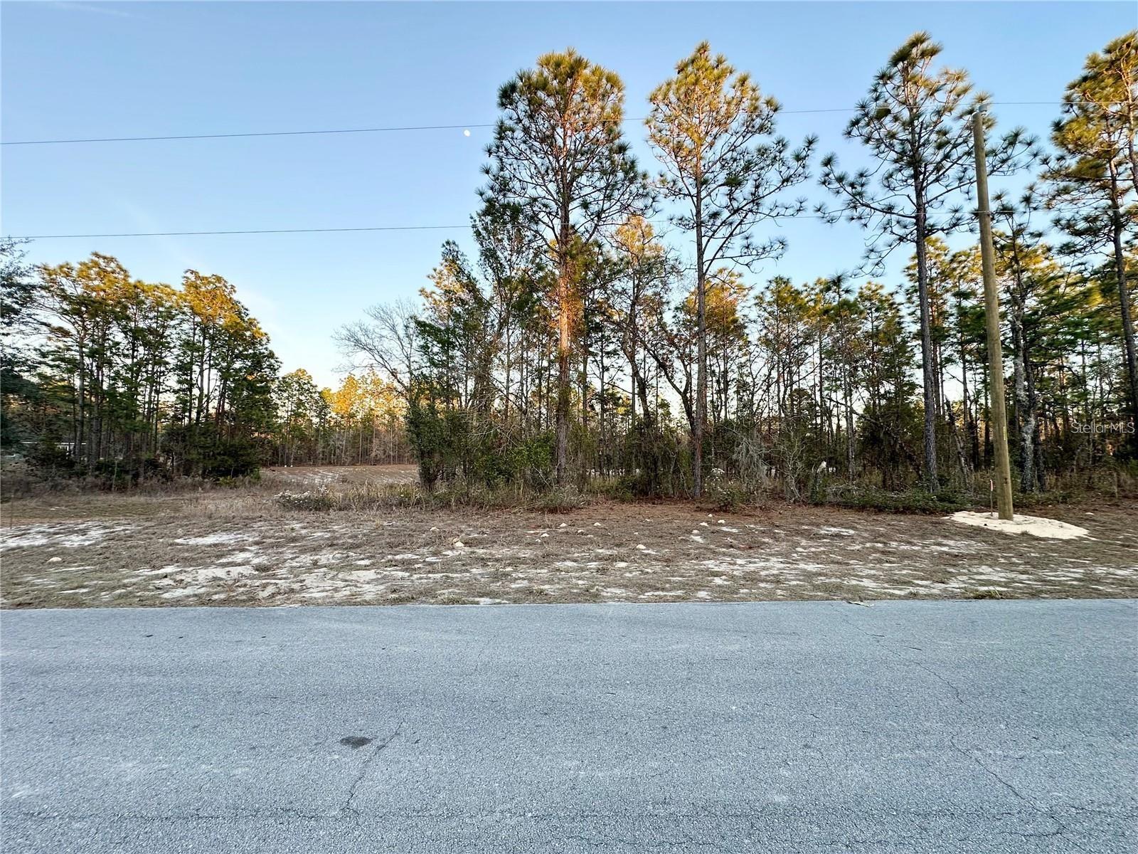 0 SW 88TH CT Property Photo 1