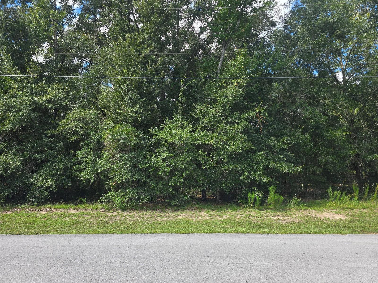 366 S Savary Ave Property Photo 2