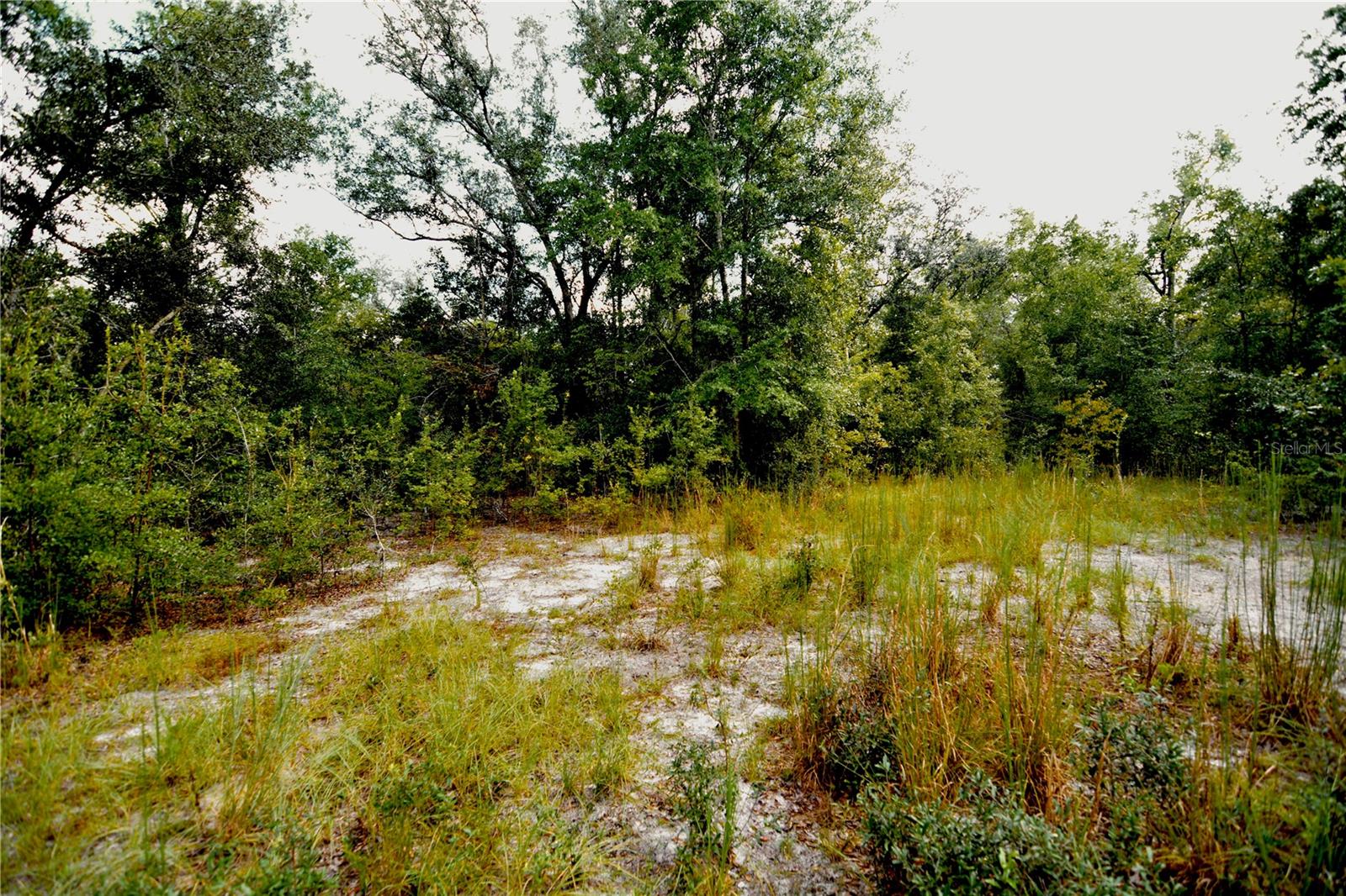 00 Sw 40th Ave Property Photo 3