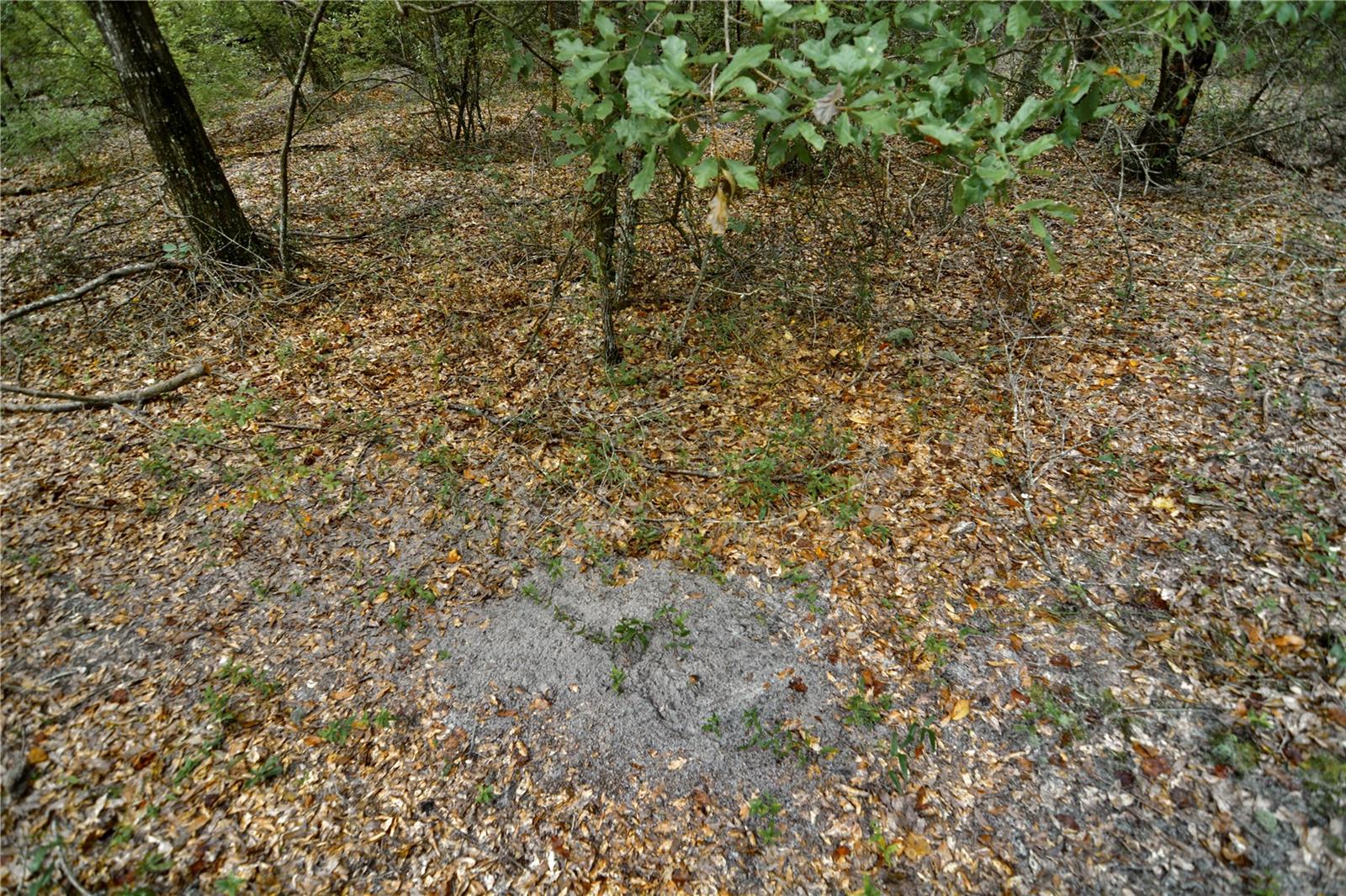 00 Sw 40th Ave Property Photo 10