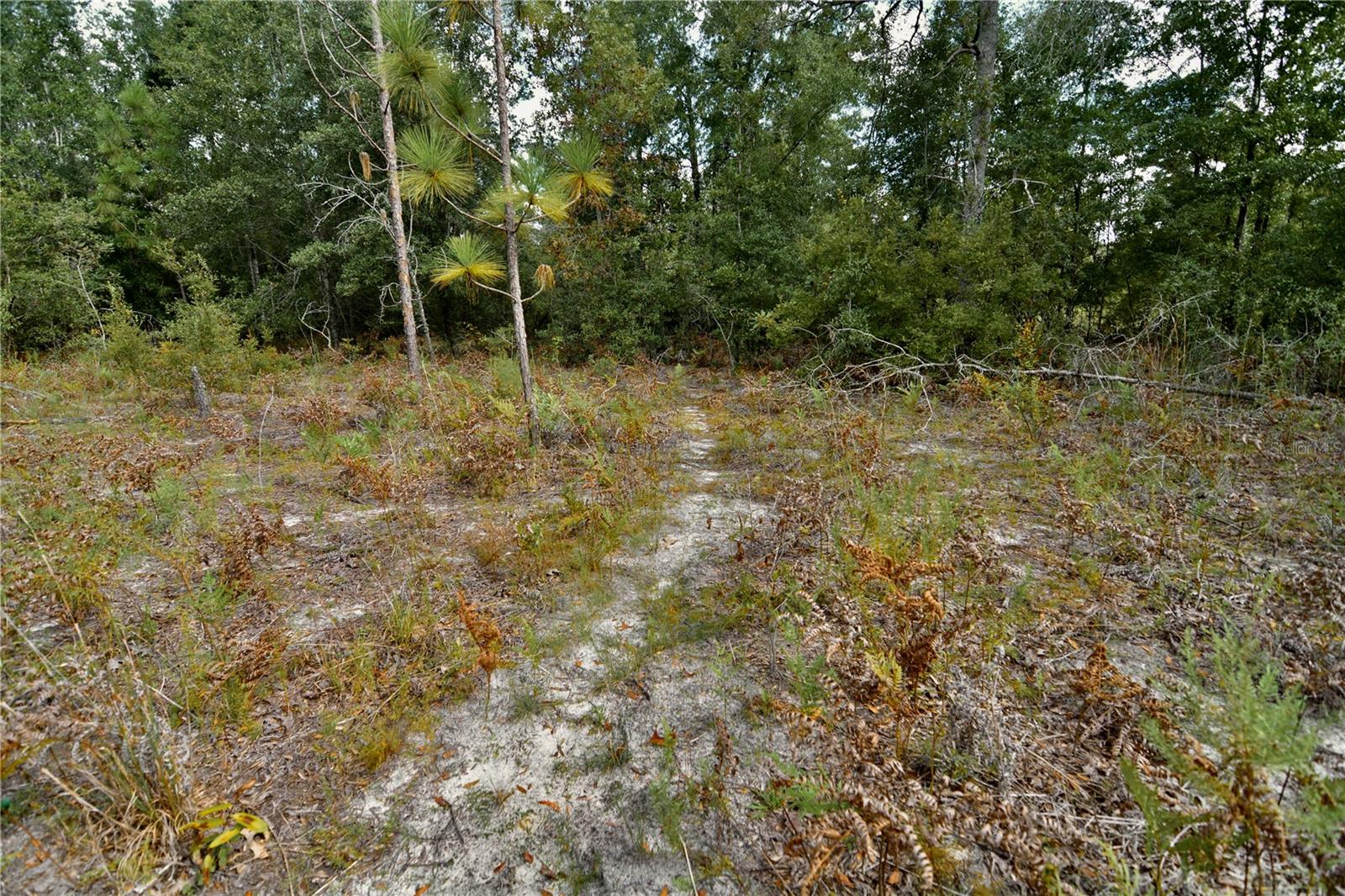 00 Sw 40th Ave Property Photo 11