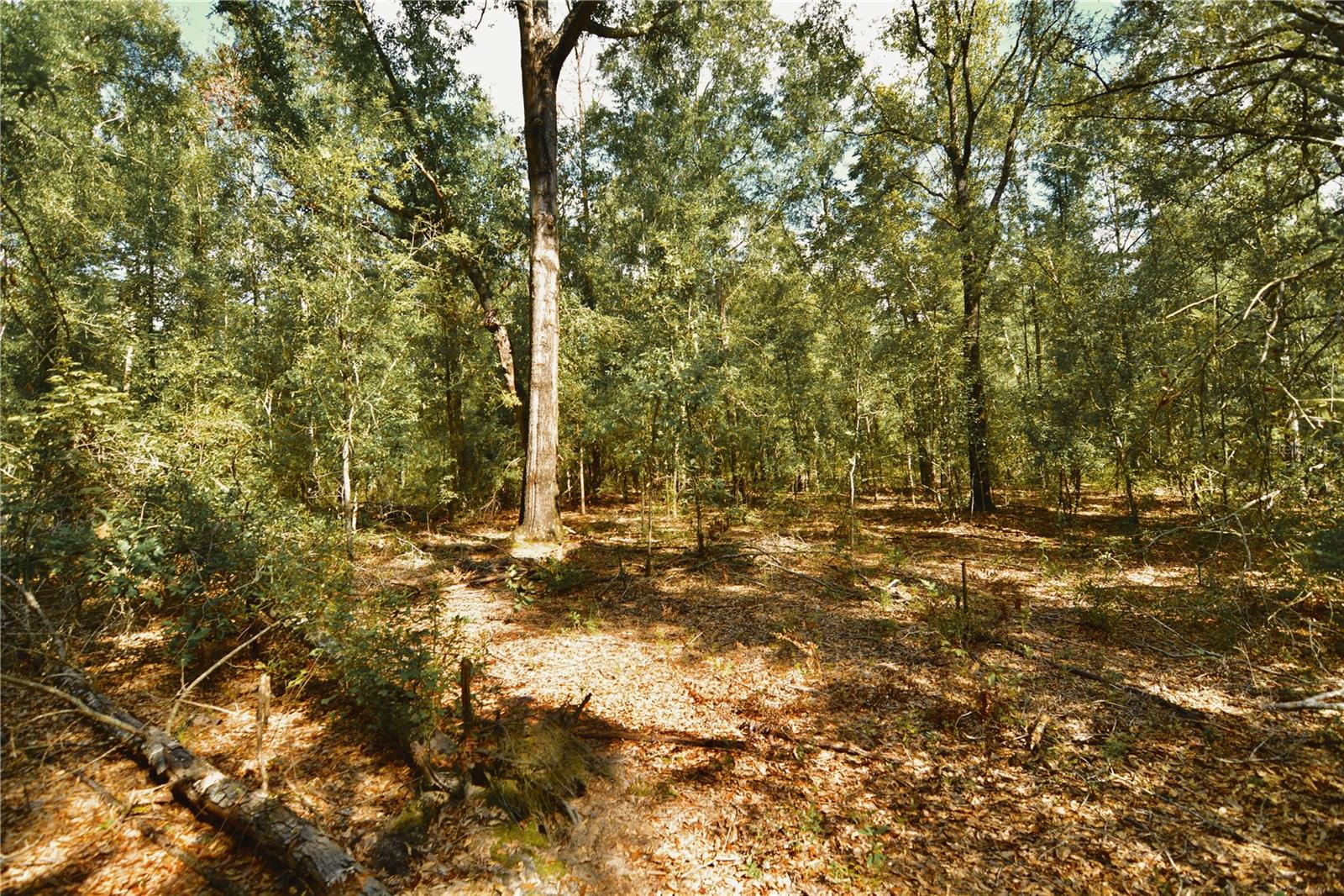 00 Sw 40th Ave Property Photo 16
