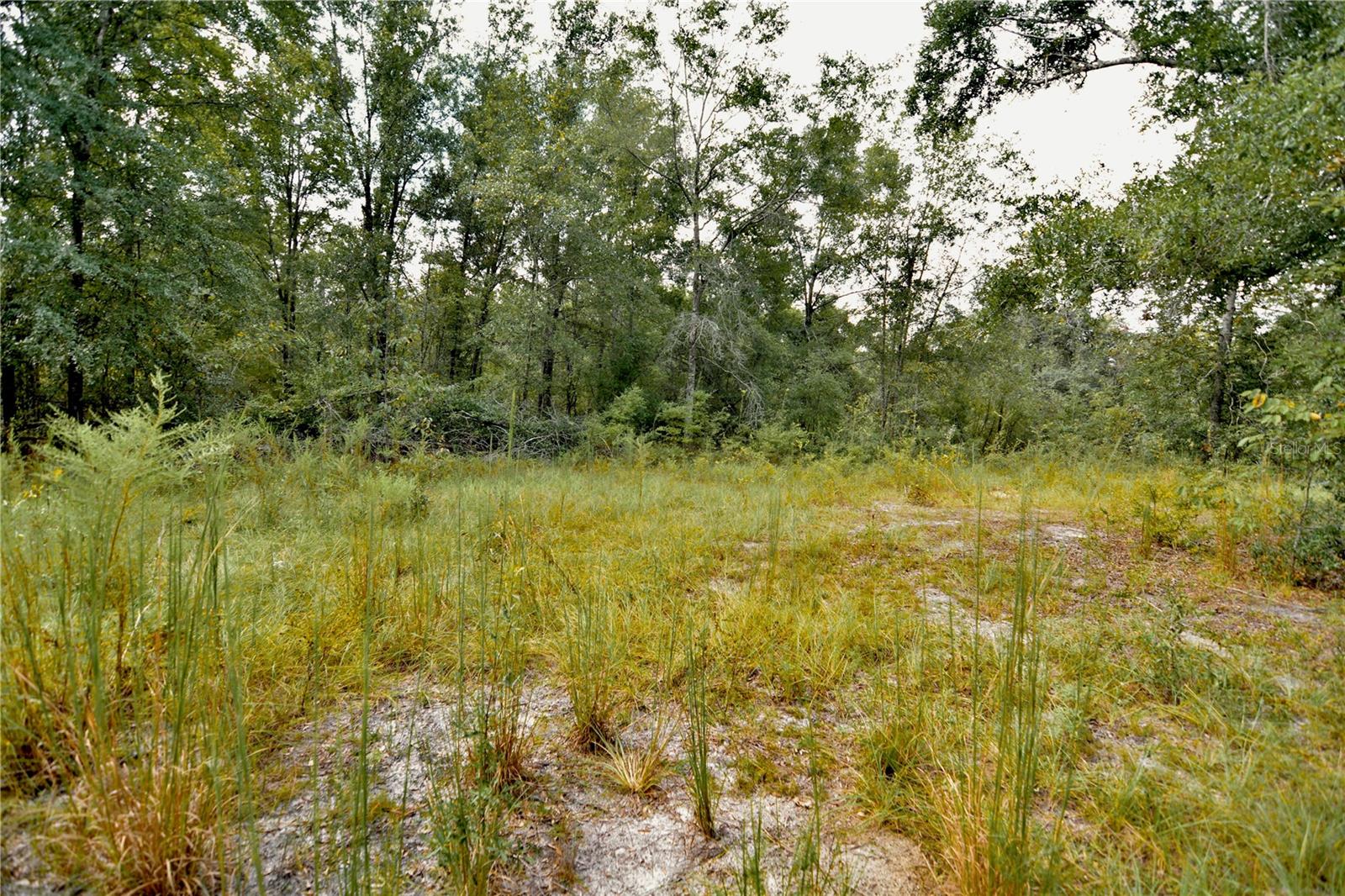 00 Sw 40th Ave Property Photo 20