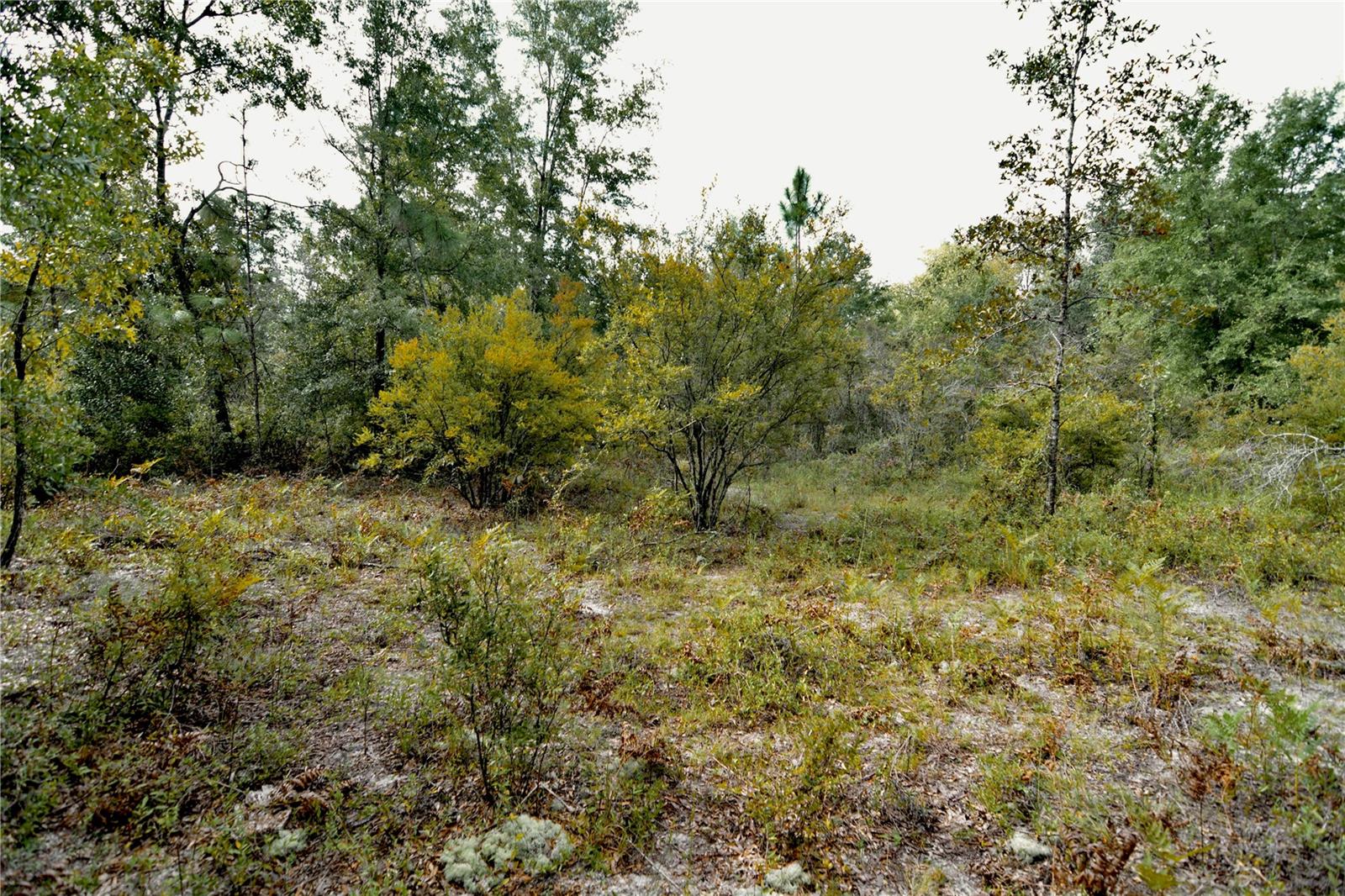 00 Sw 40th Ave Property Photo 27