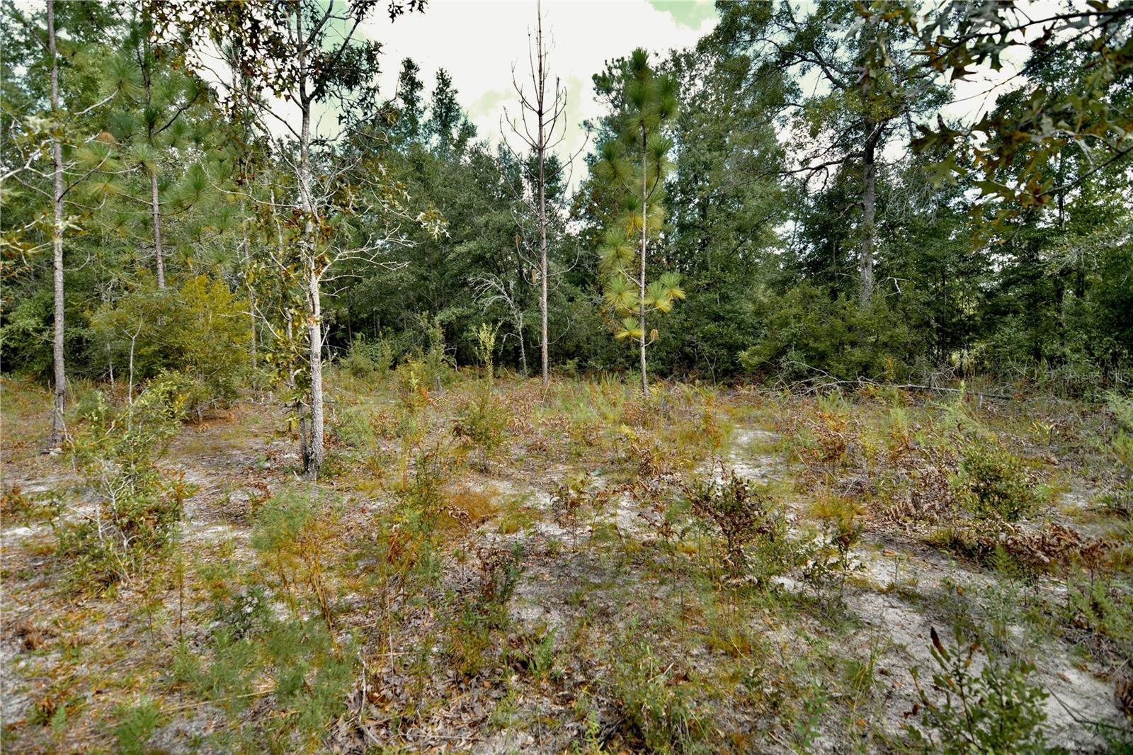 00 Sw 40th Ave Property Photo 28