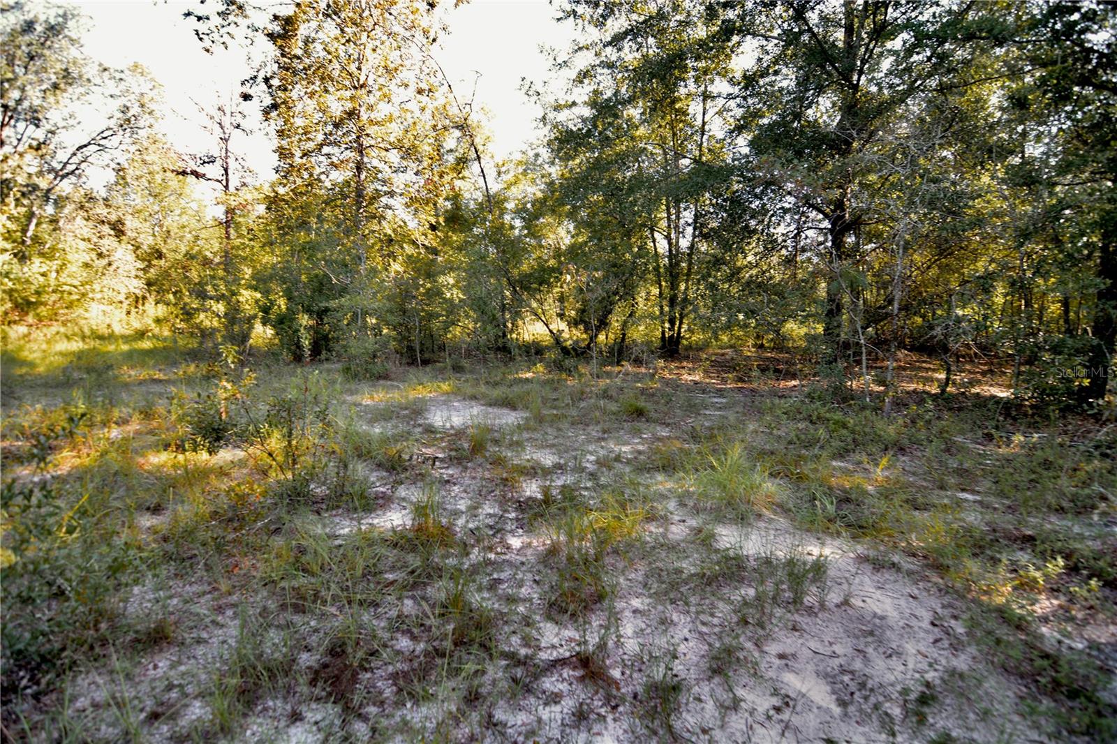 00 Sw 40th Ave Property Photo 39