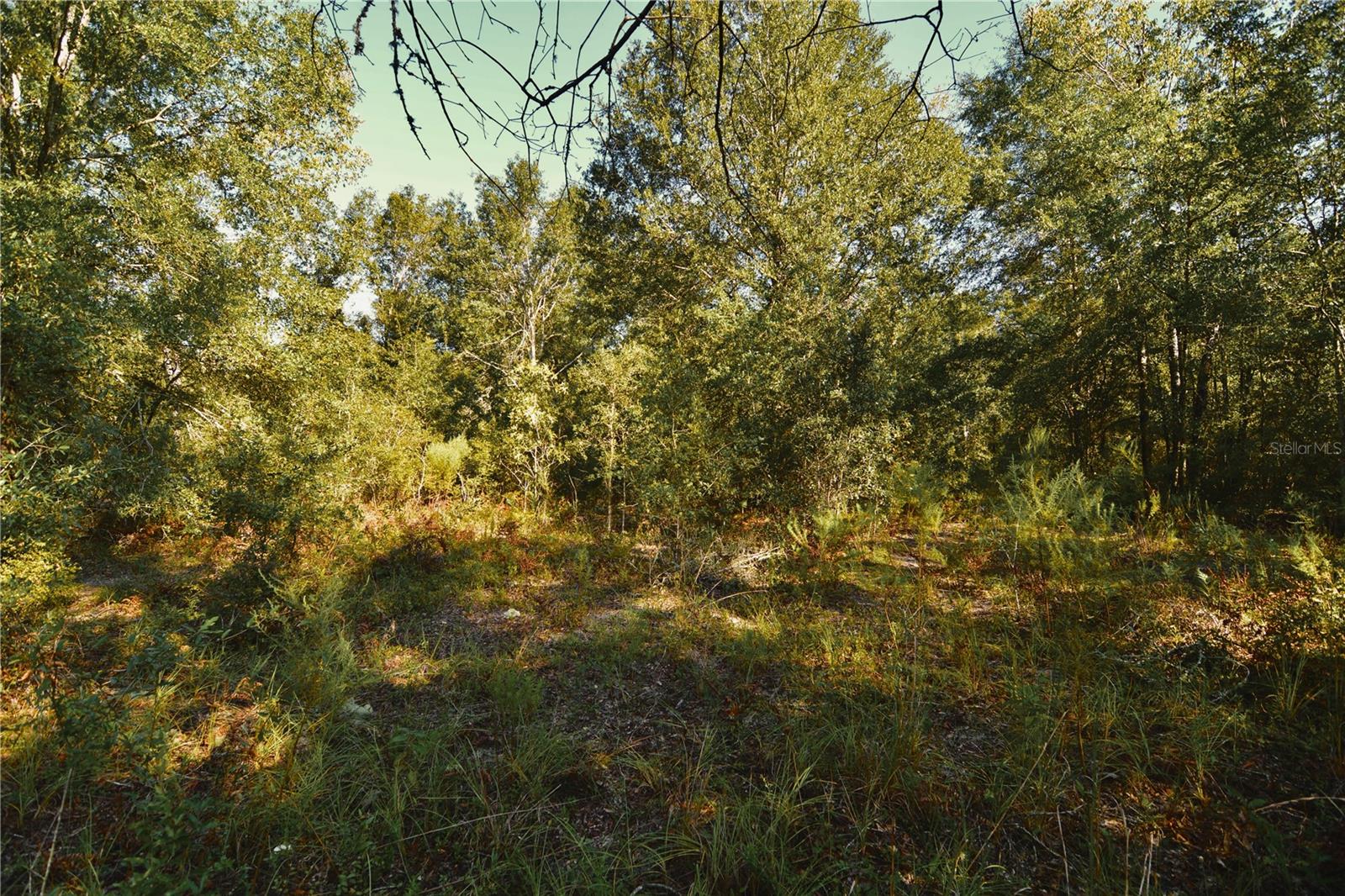 00 Sw 40th Ave Property Photo 42