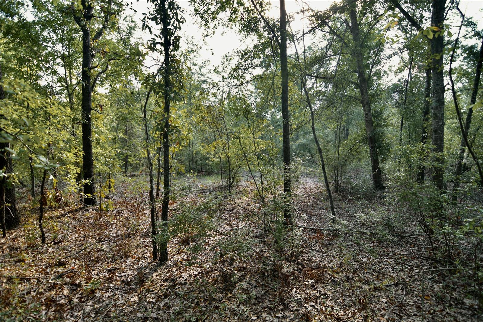 00 Sw 40th Ave Property Photo 55