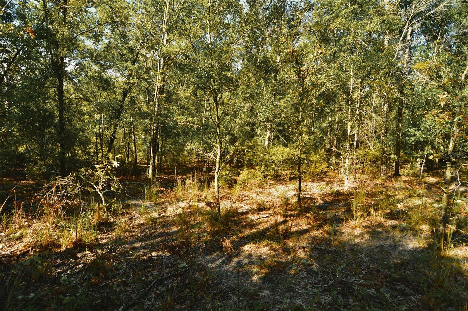 00 Sw 40th Ave Property Photo 59