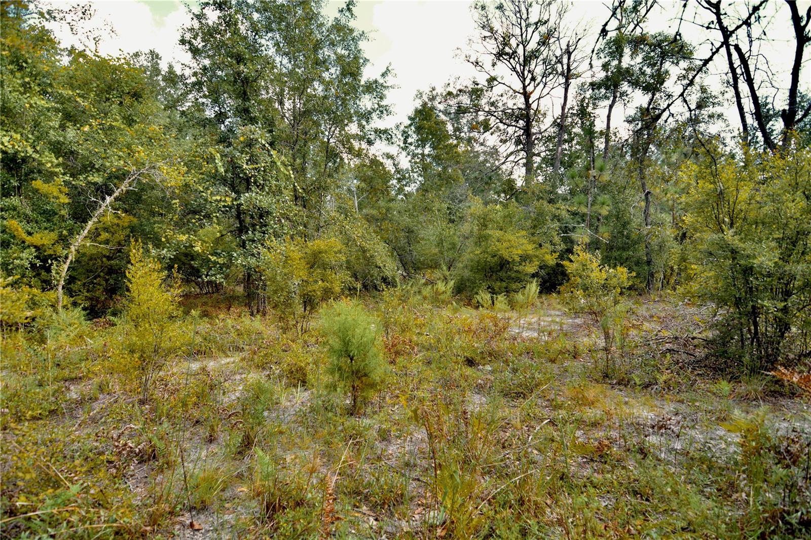 00 Sw 40th Ave Property Photo 65