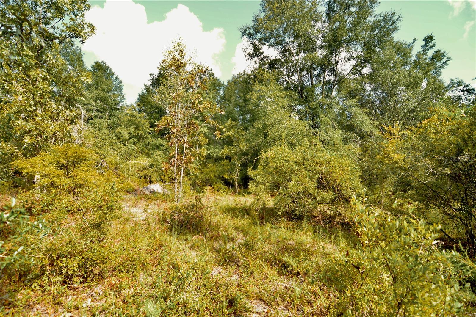 00 Sw 40th Ave Property Photo 66