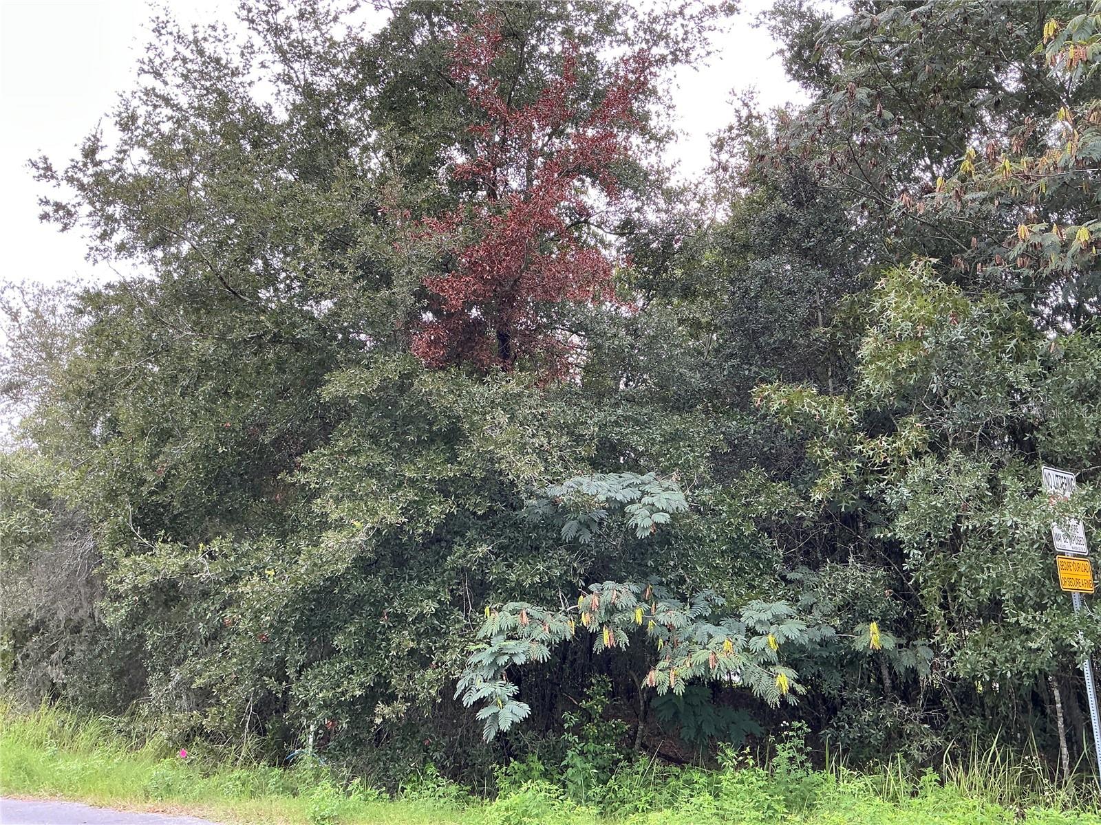 LOT 1 PINE RADIAL RUN Property Photo 1
