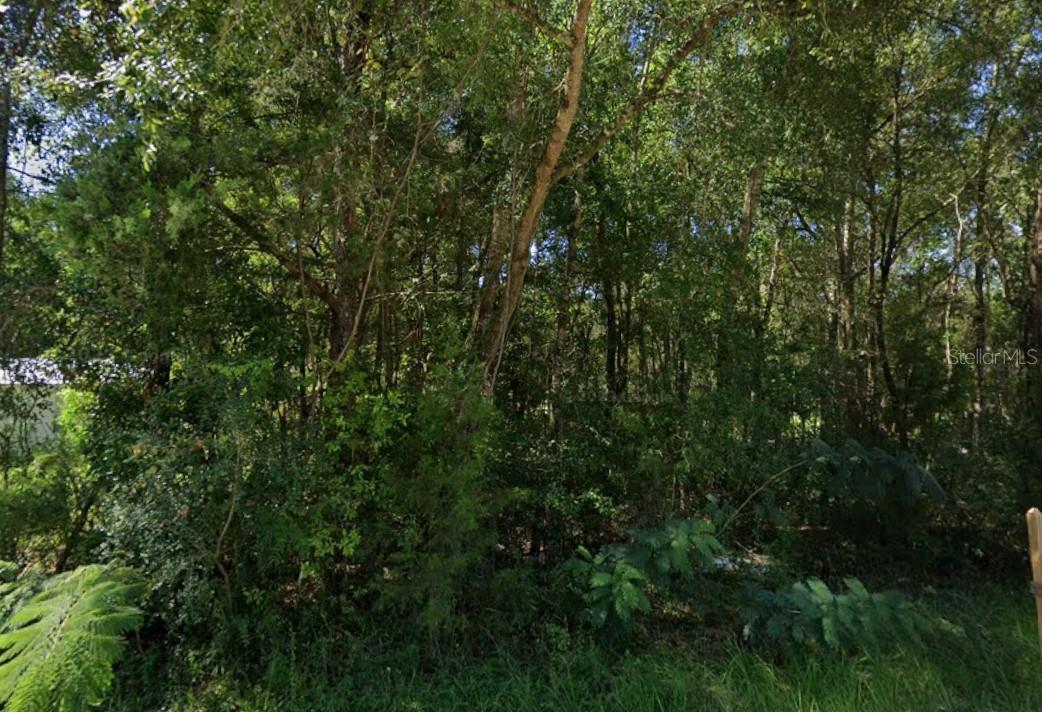 Lot 12 Nw 12th Ln Property Photo 4