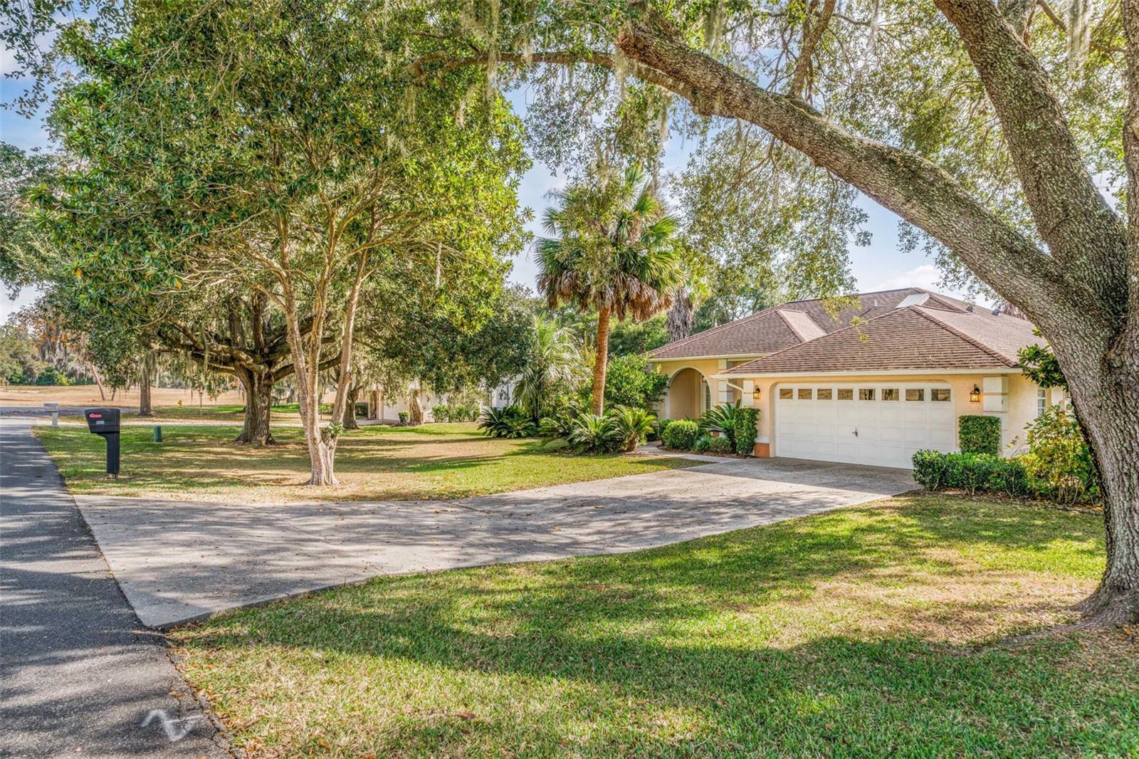1125 N Sabal Palm Way Property Photo 2