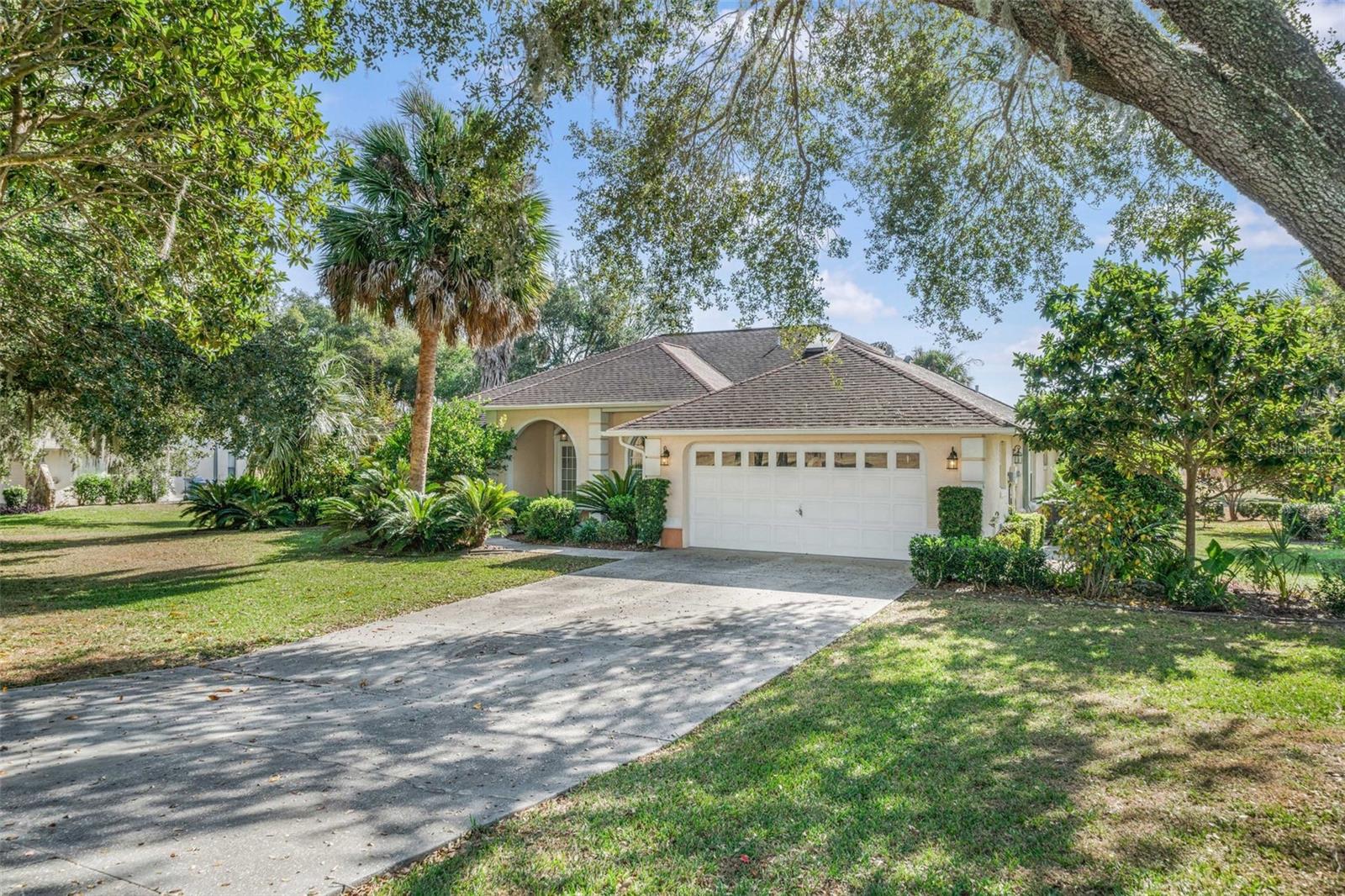 1125 N Sabal Palm Way Property Photo 43