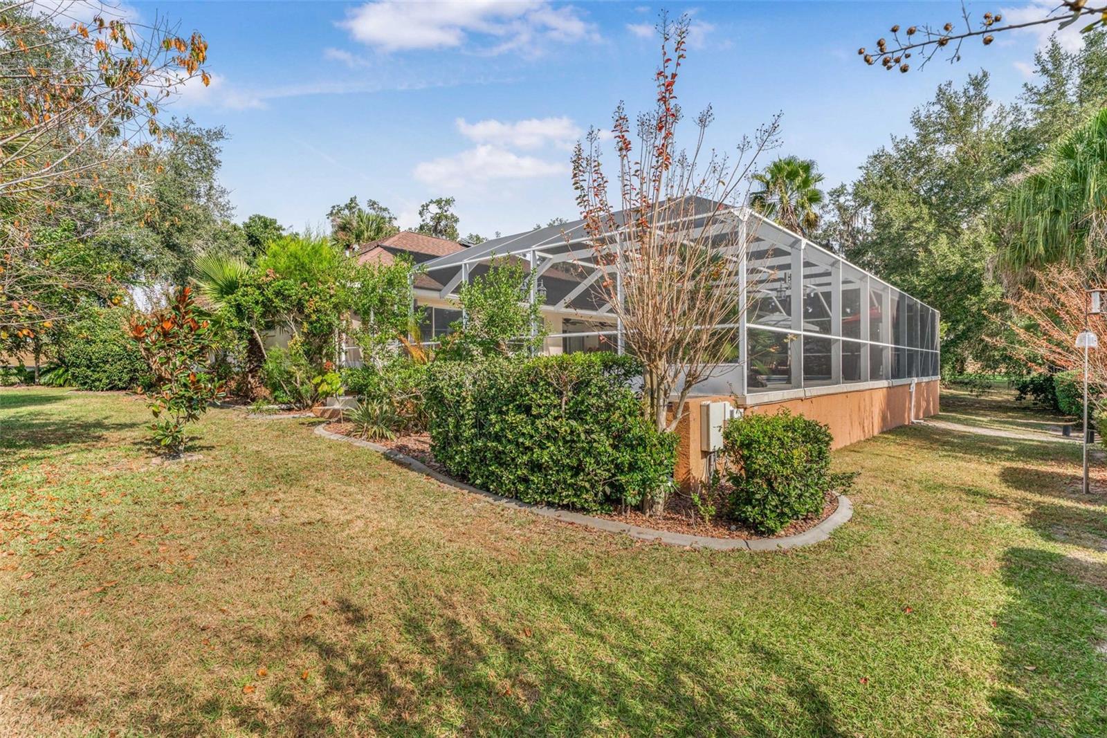 1125 N Sabal Palm Way Property Photo 45