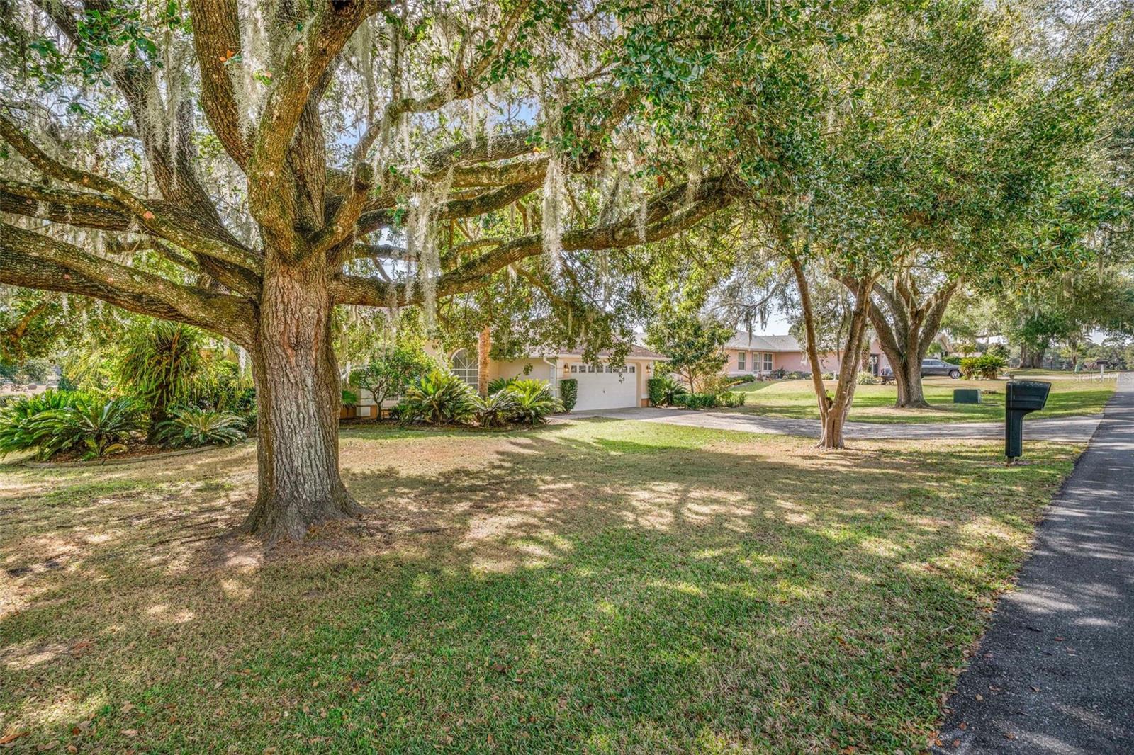 1125 N Sabal Palm Way Property Photo 48