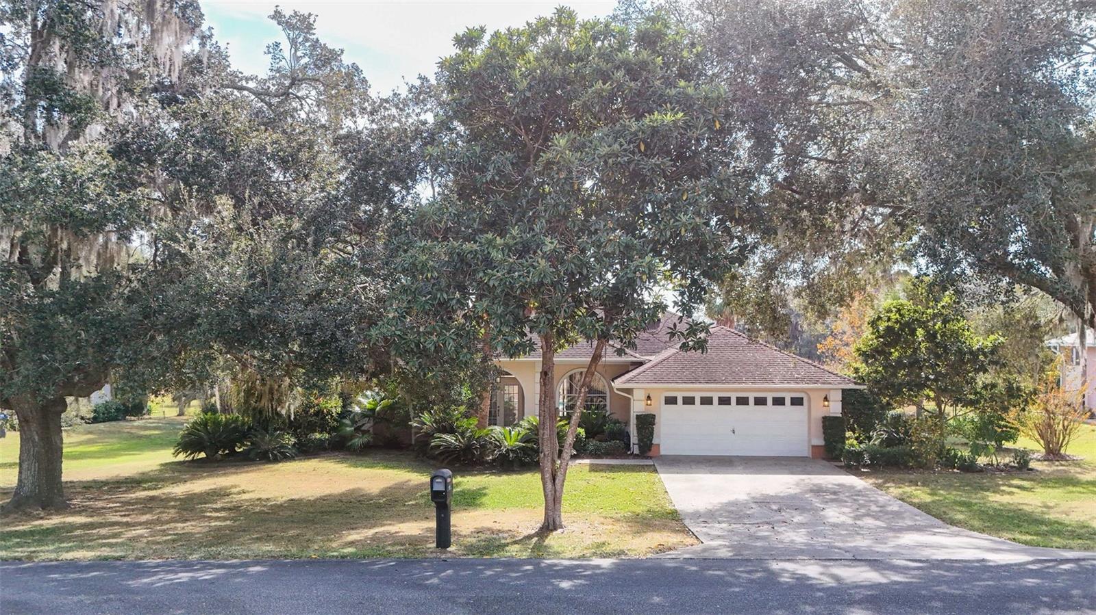 1125 N Sabal Palm Way Property Photo 51