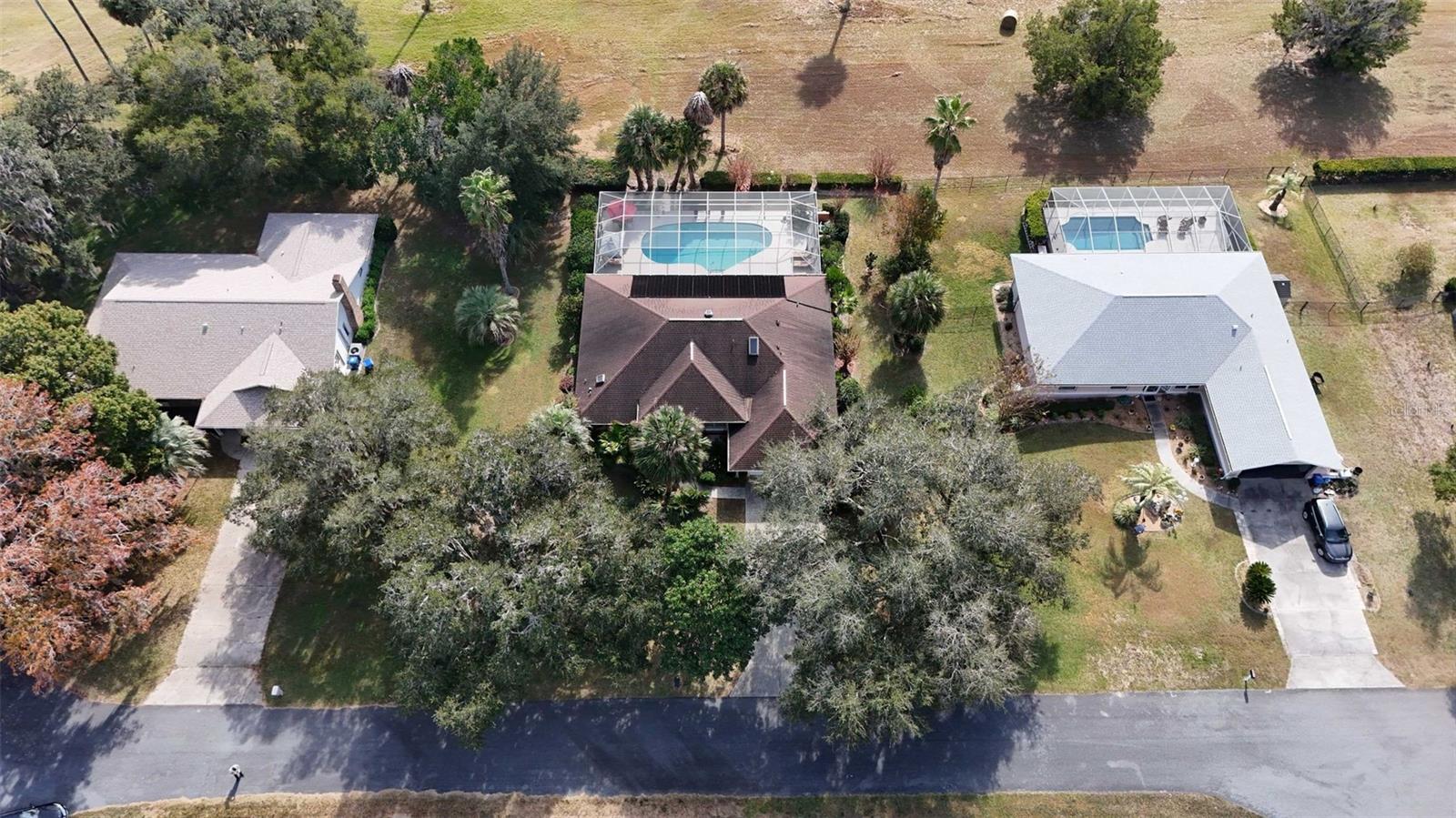 1125 N Sabal Palm Way Property Photo 52