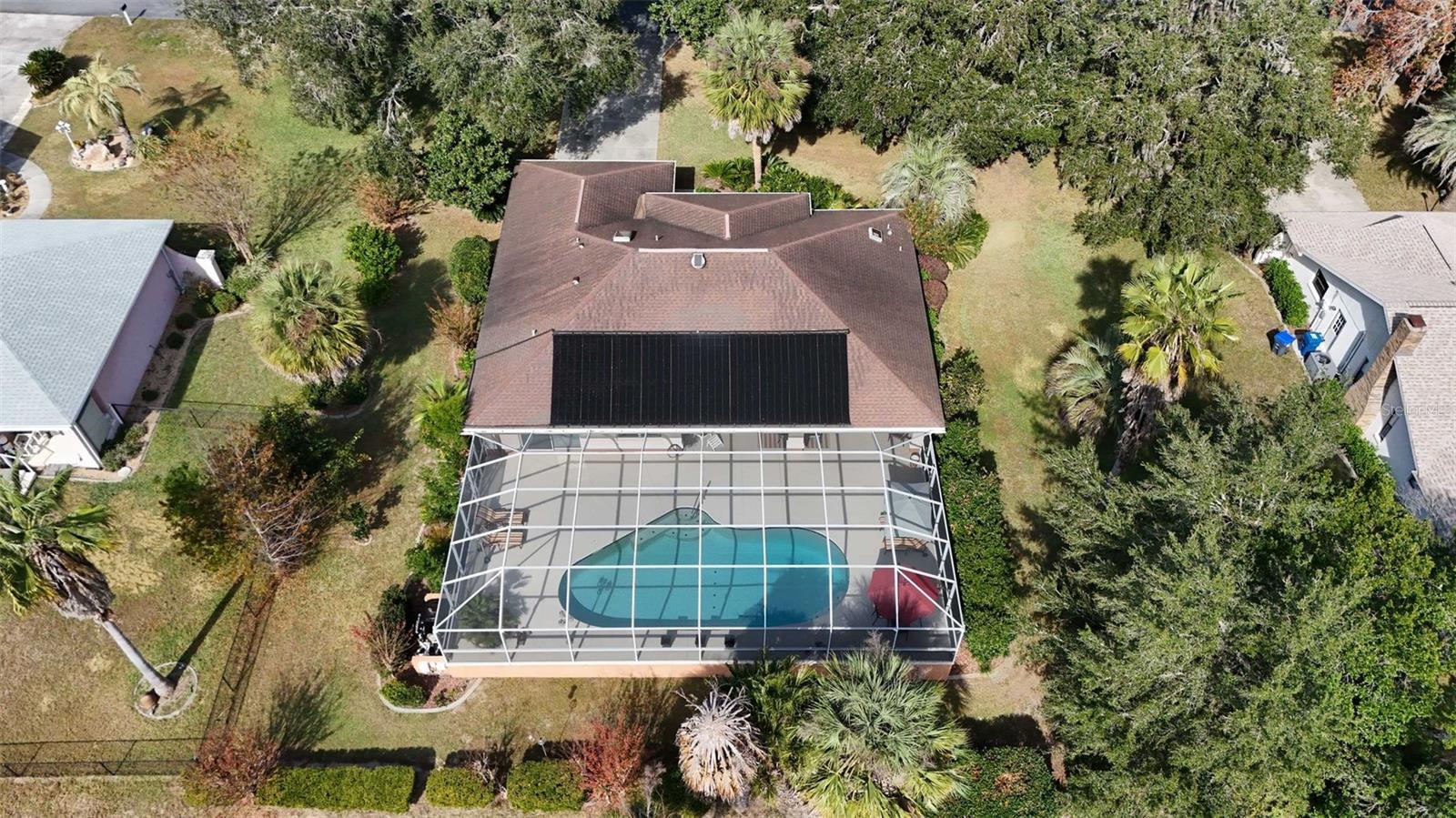 1125 N Sabal Palm Way Property Photo 58