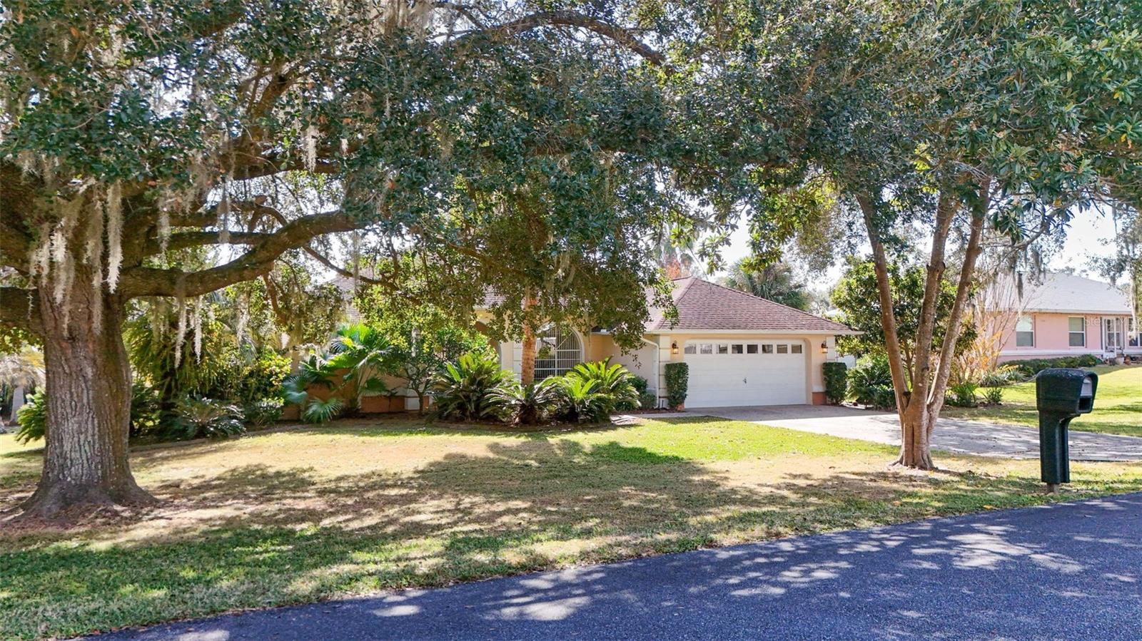 1125 N Sabal Palm Way Property Photo 65