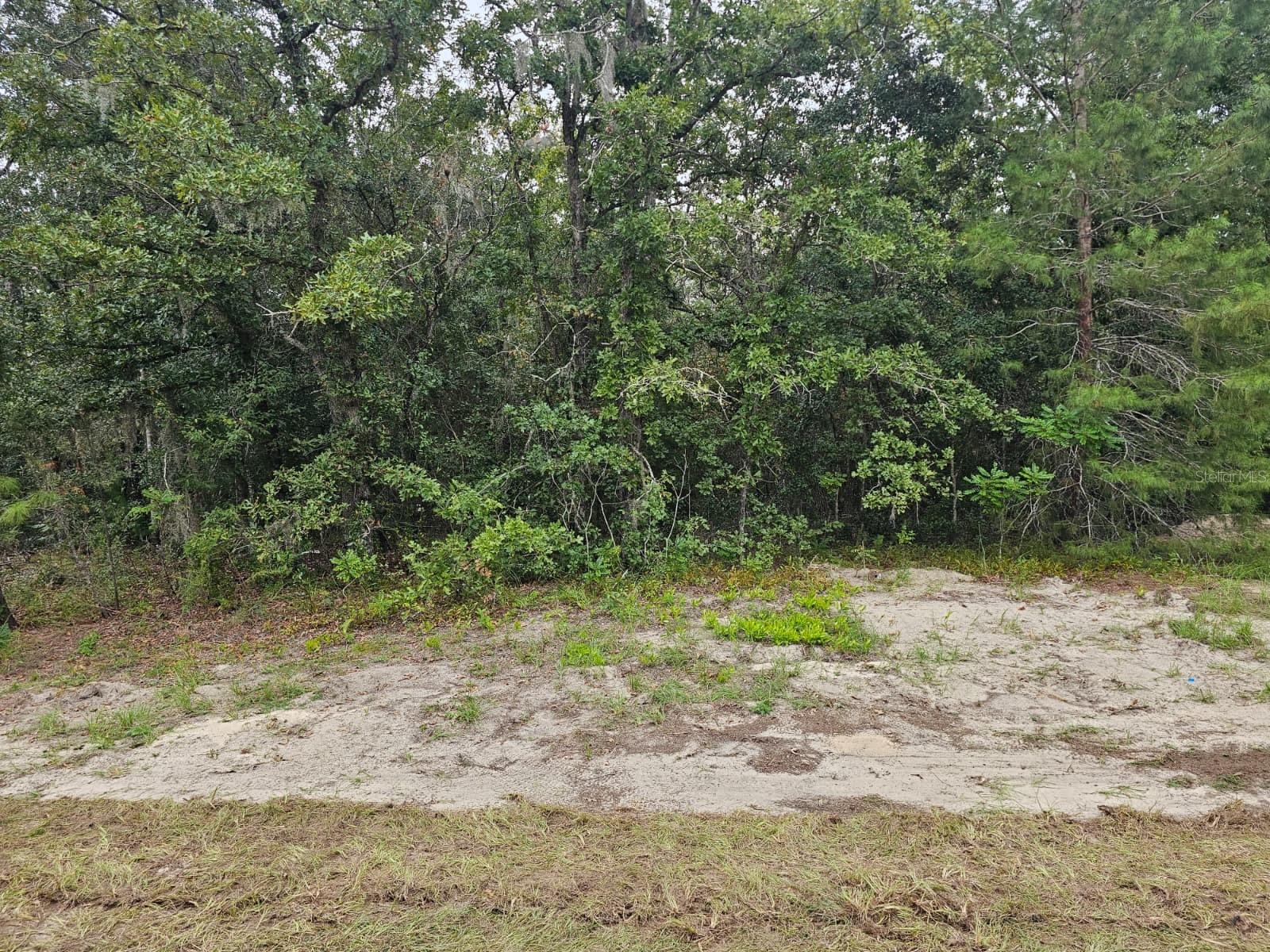 Tba Se 56th Ct. Property Photo 2