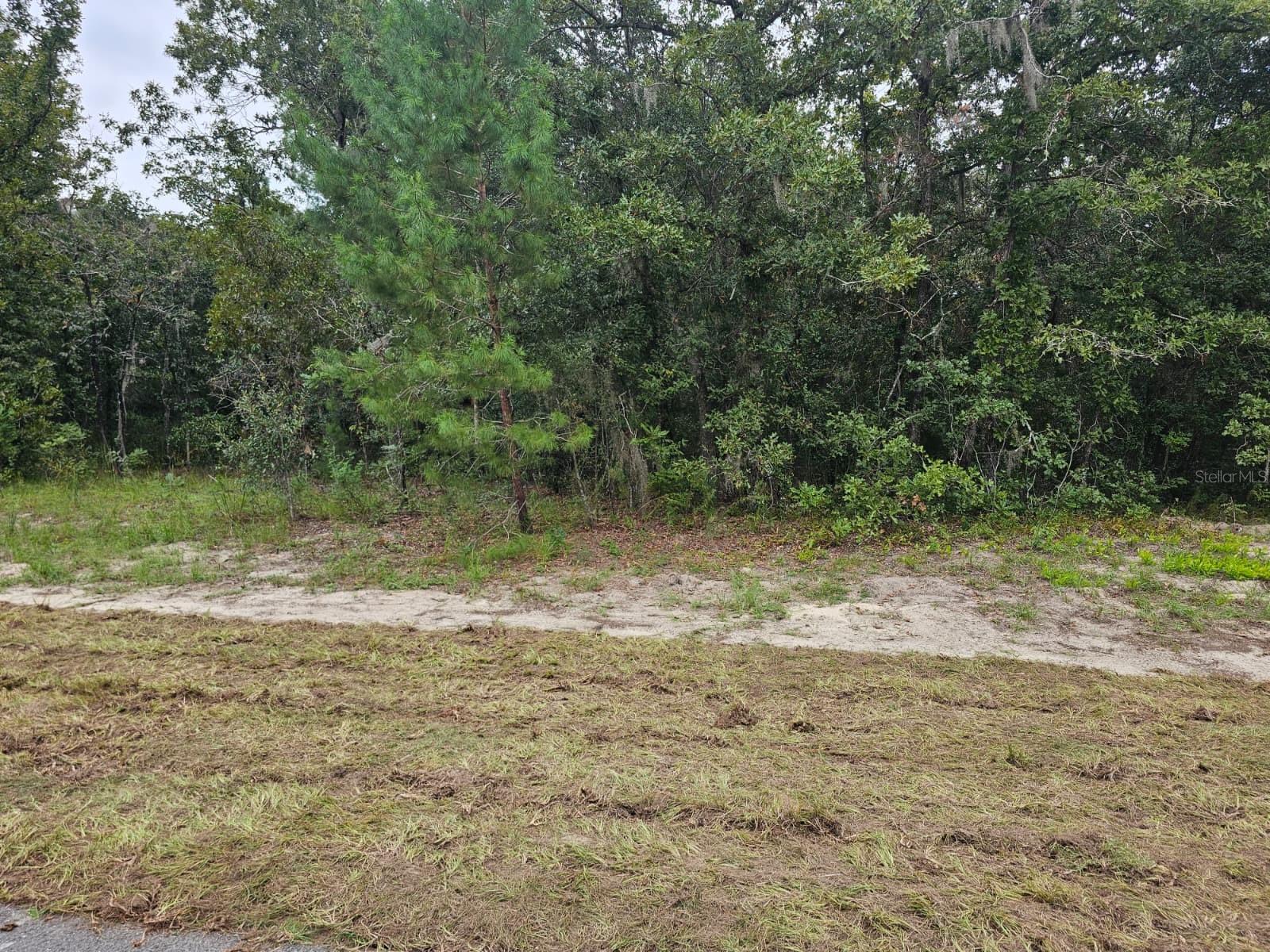 Tba Se 56th Ct. Property Photo 5