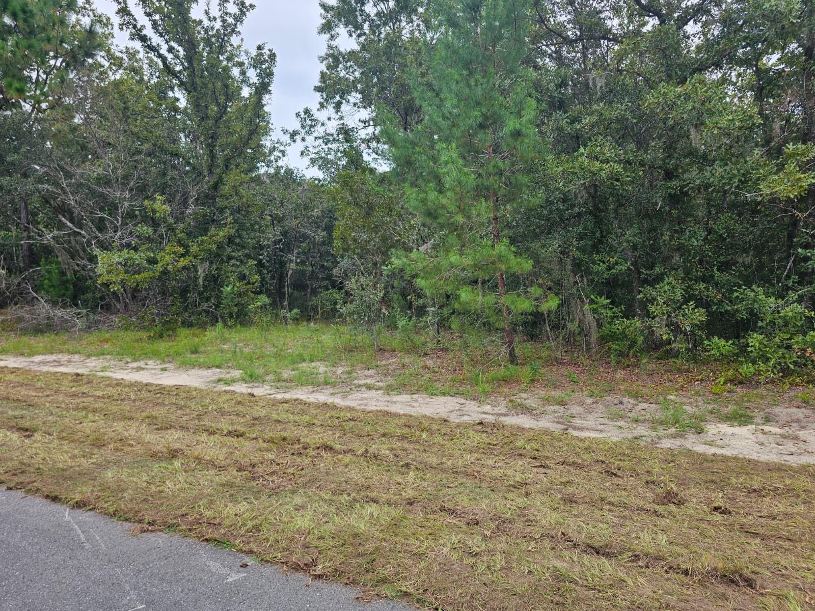 Tba Se 56th Ct. Property Photo 6