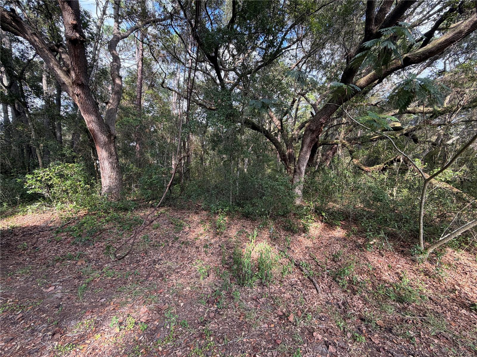 00 Se 169th Ct Property Photo 3