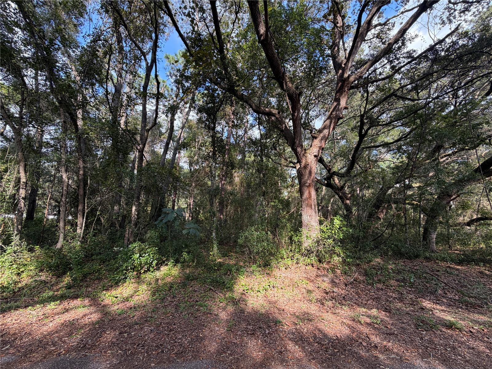 00 Se 169th Ct Property Photo 4