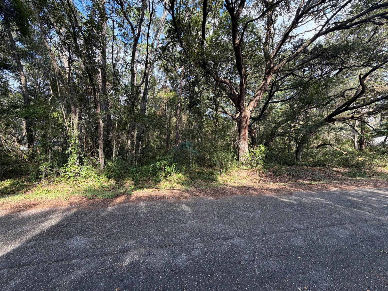 00 Se 169th Ct Property Photo 7