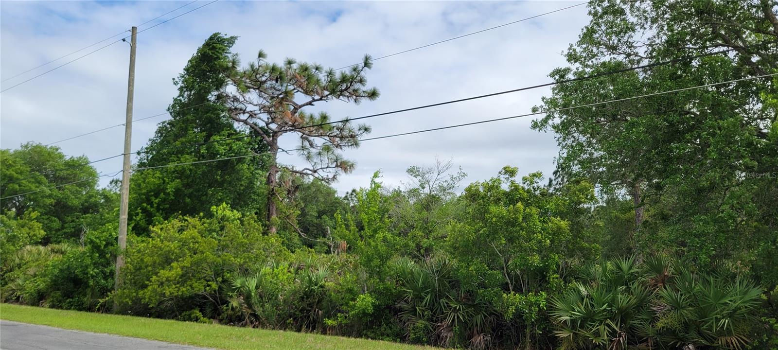 Ralston St Property Photo 3