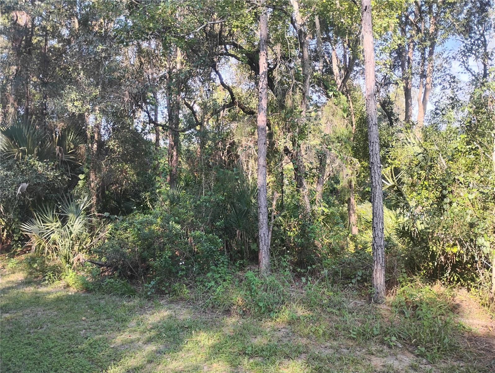 Jessie Ave Property Photo 3