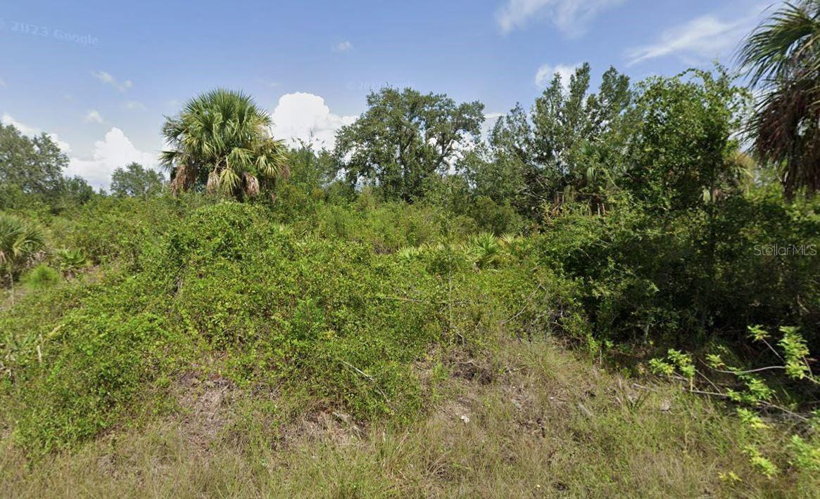 13246 ESTRANO DR Property Photo 1