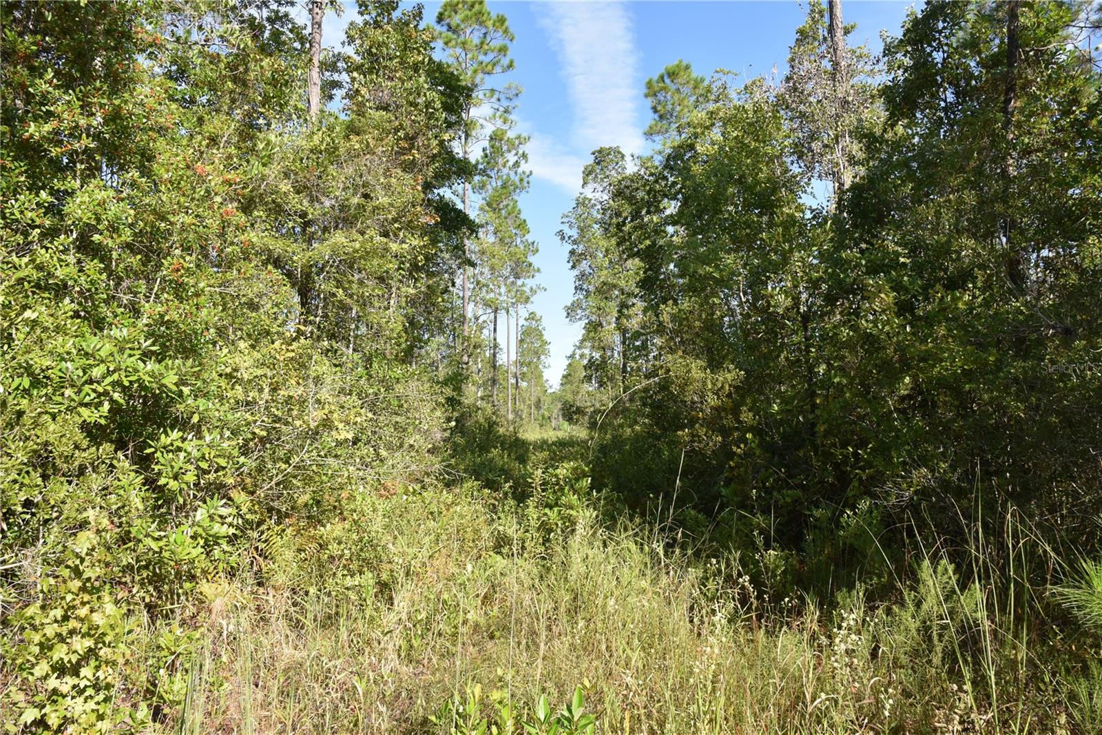 Off Ne 212th St. Property Photo 3