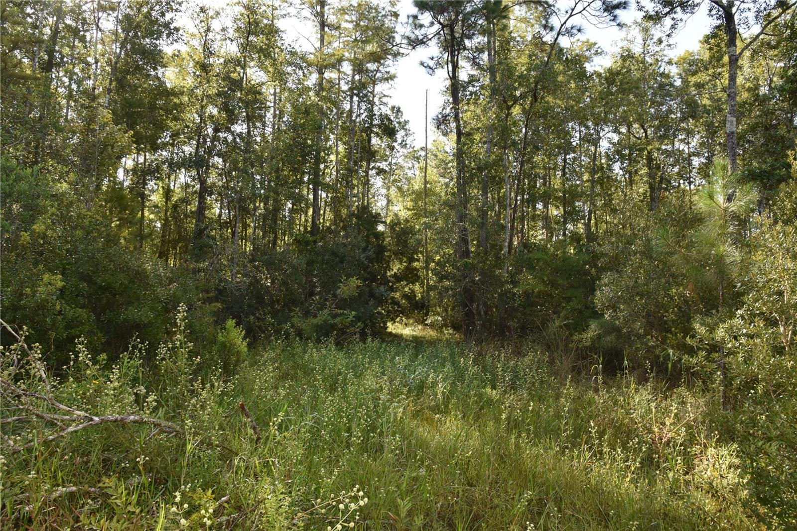 Off Ne 212th St. Property Photo 4