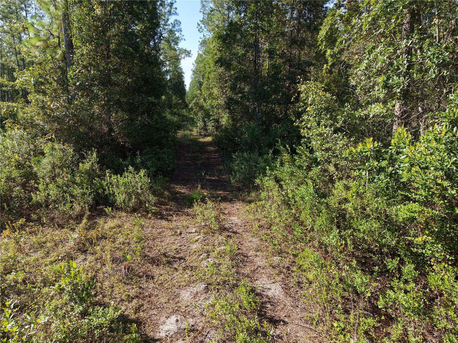 Off Ne 212th St. Property Photo 9