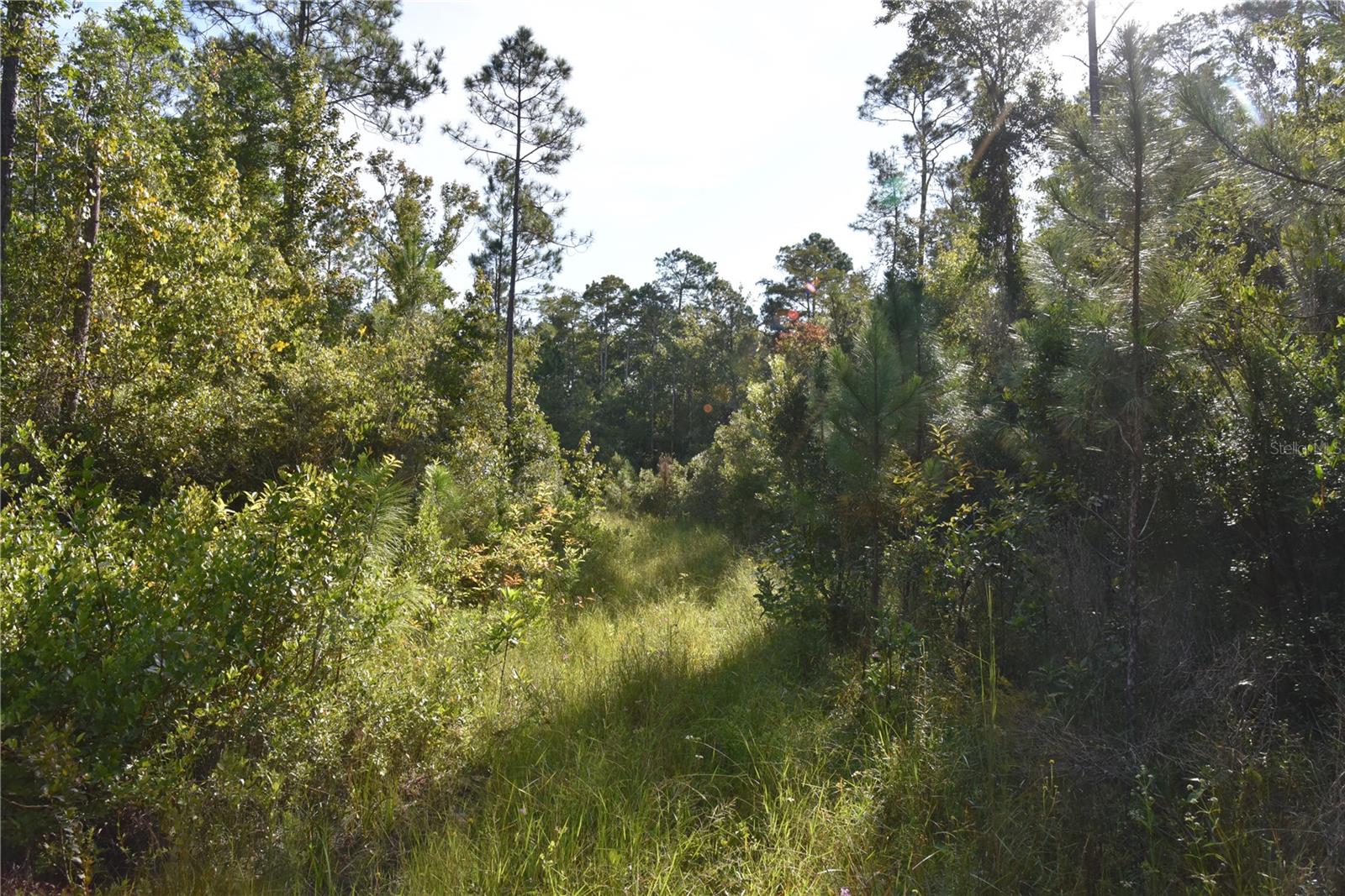 Off Ne 212th St. Property Photo 38
