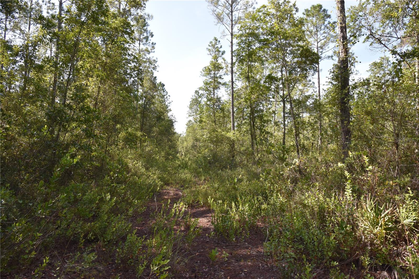 Off Ne 212th St. Property Photo 44