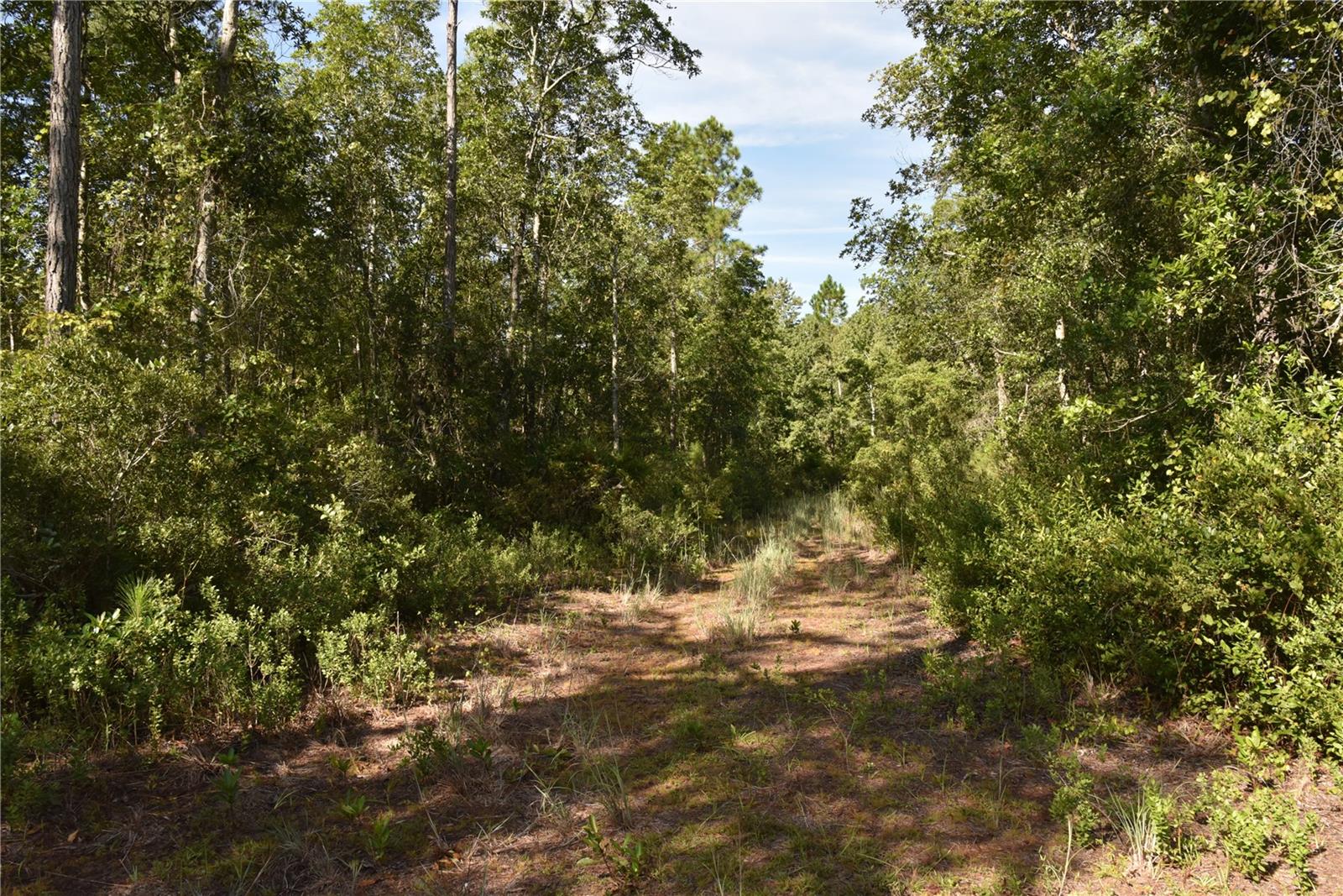 Off Ne 212th St. Property Photo 46