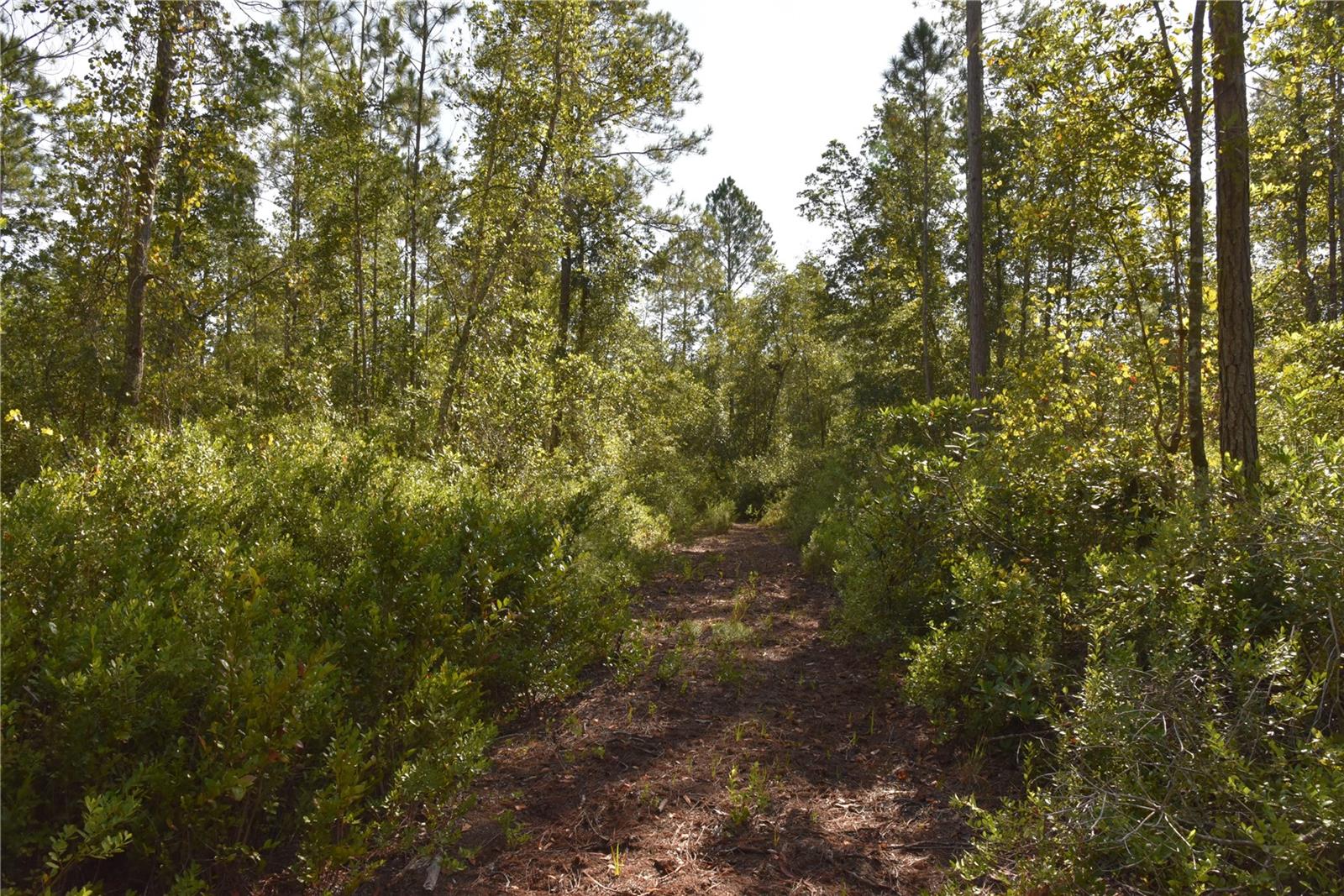 Off Ne 212th St. Property Photo 62