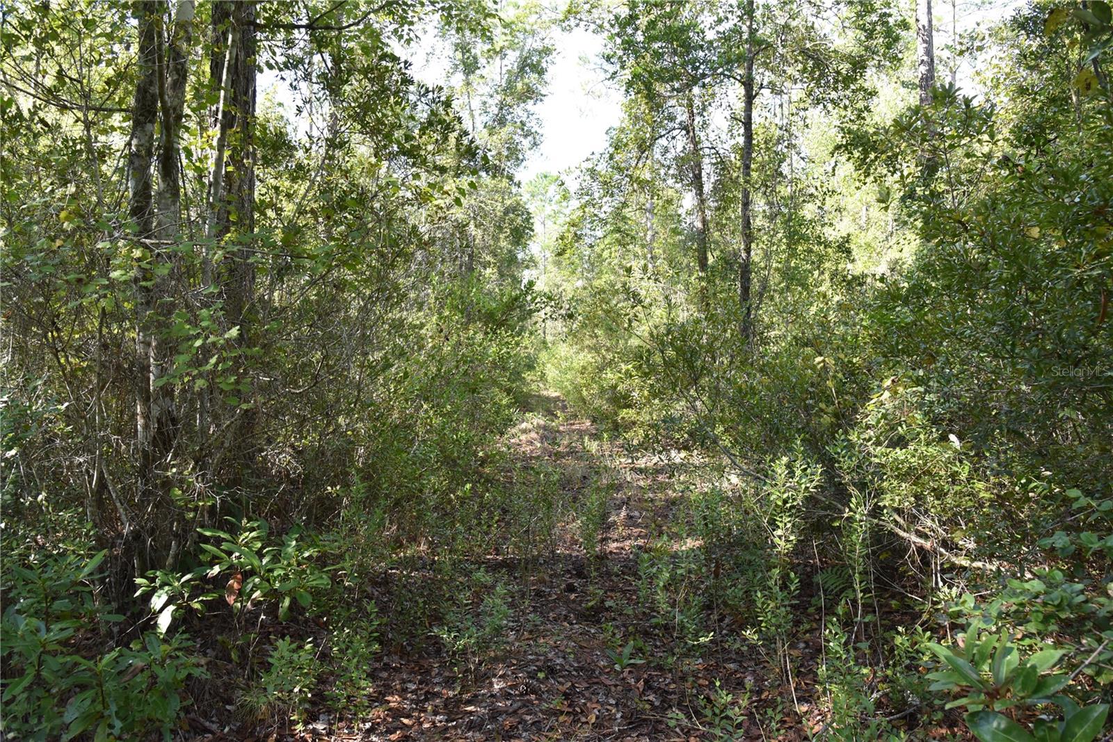 Off Ne 212th St. Property Photo 63