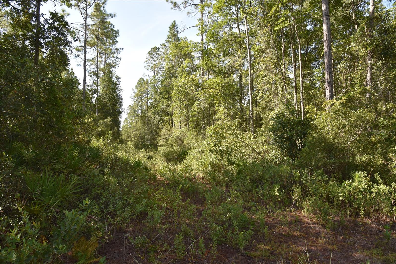 Off Ne 212th St. Property Photo 64