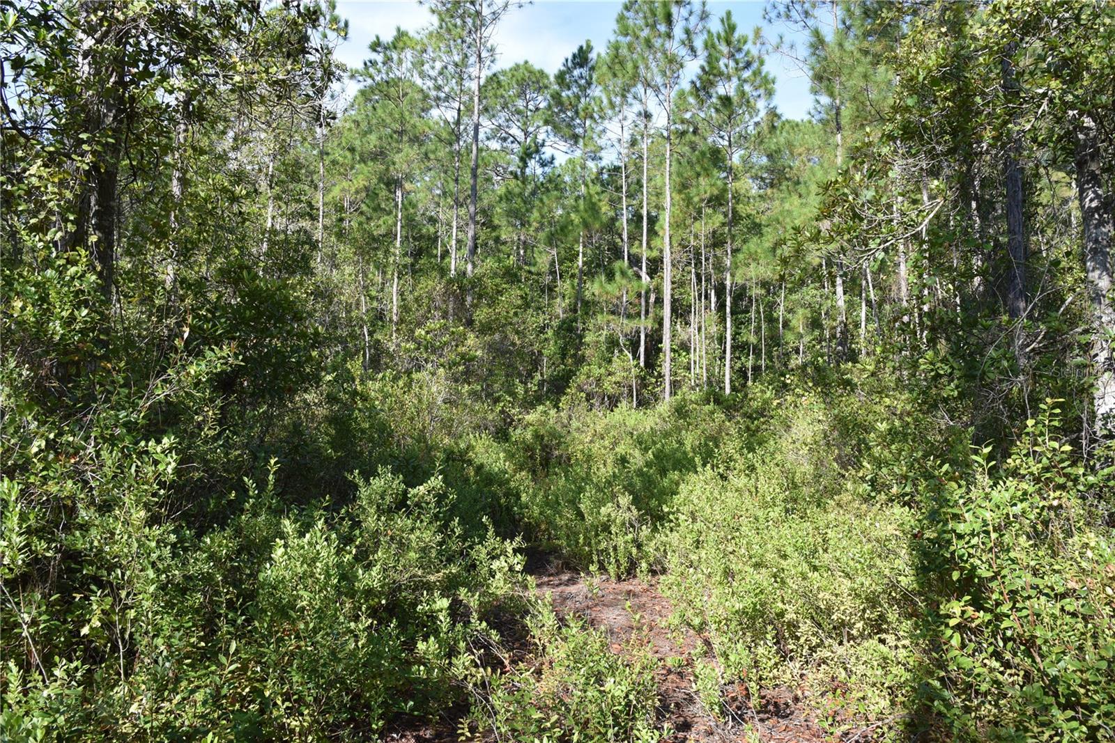 Off Ne 212th St. Property Photo 65