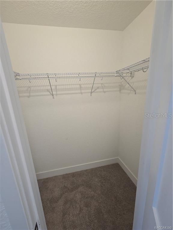 2505 Clearwood St Property Photo 15